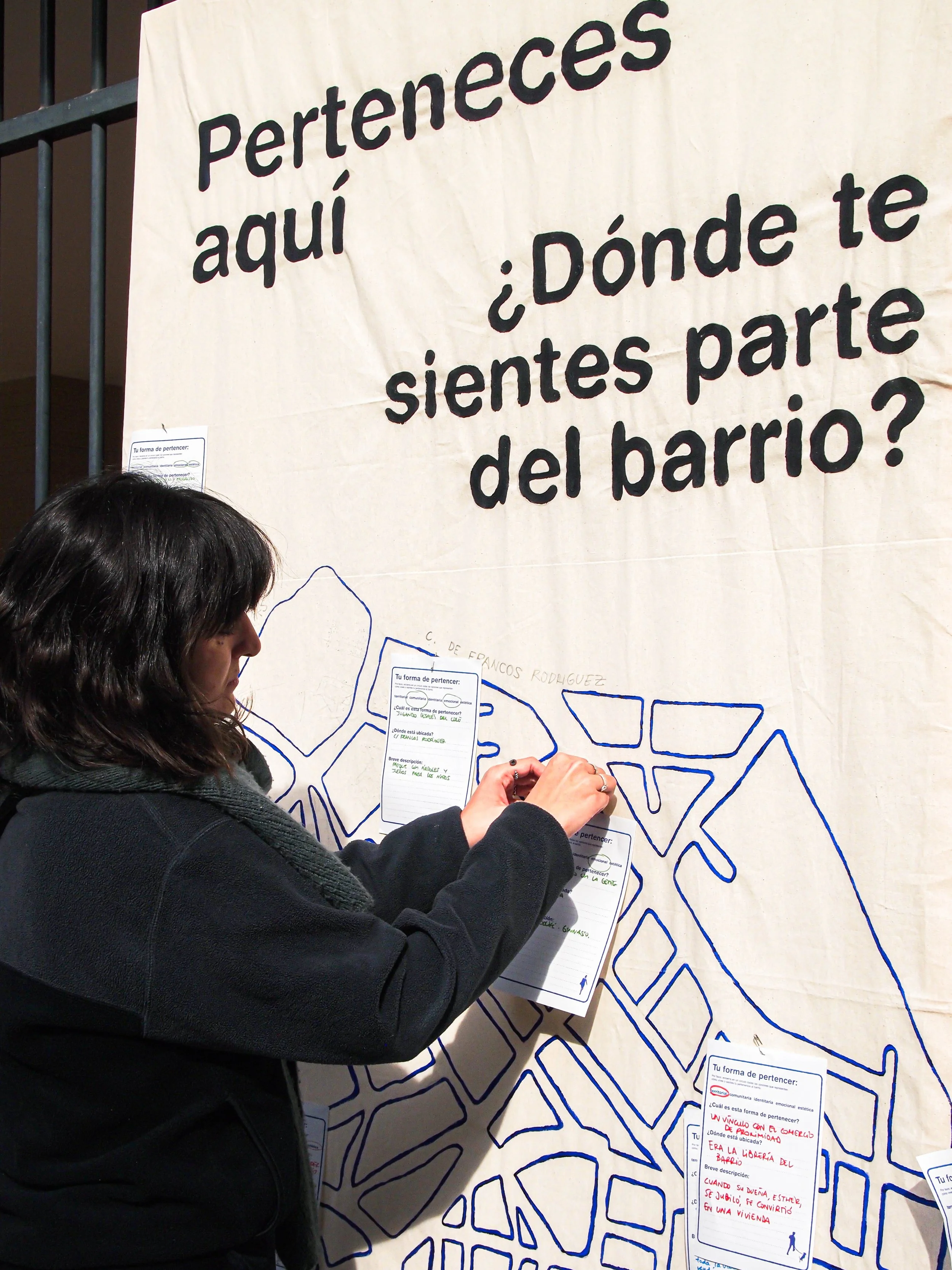 P1017102.jpg