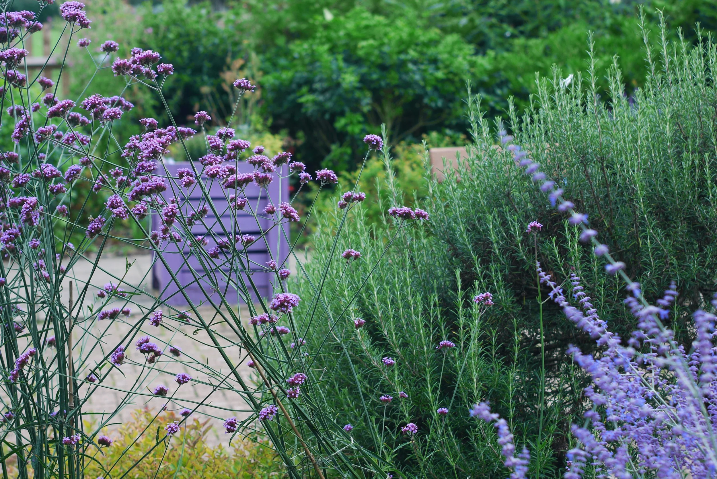 Summer plants ready