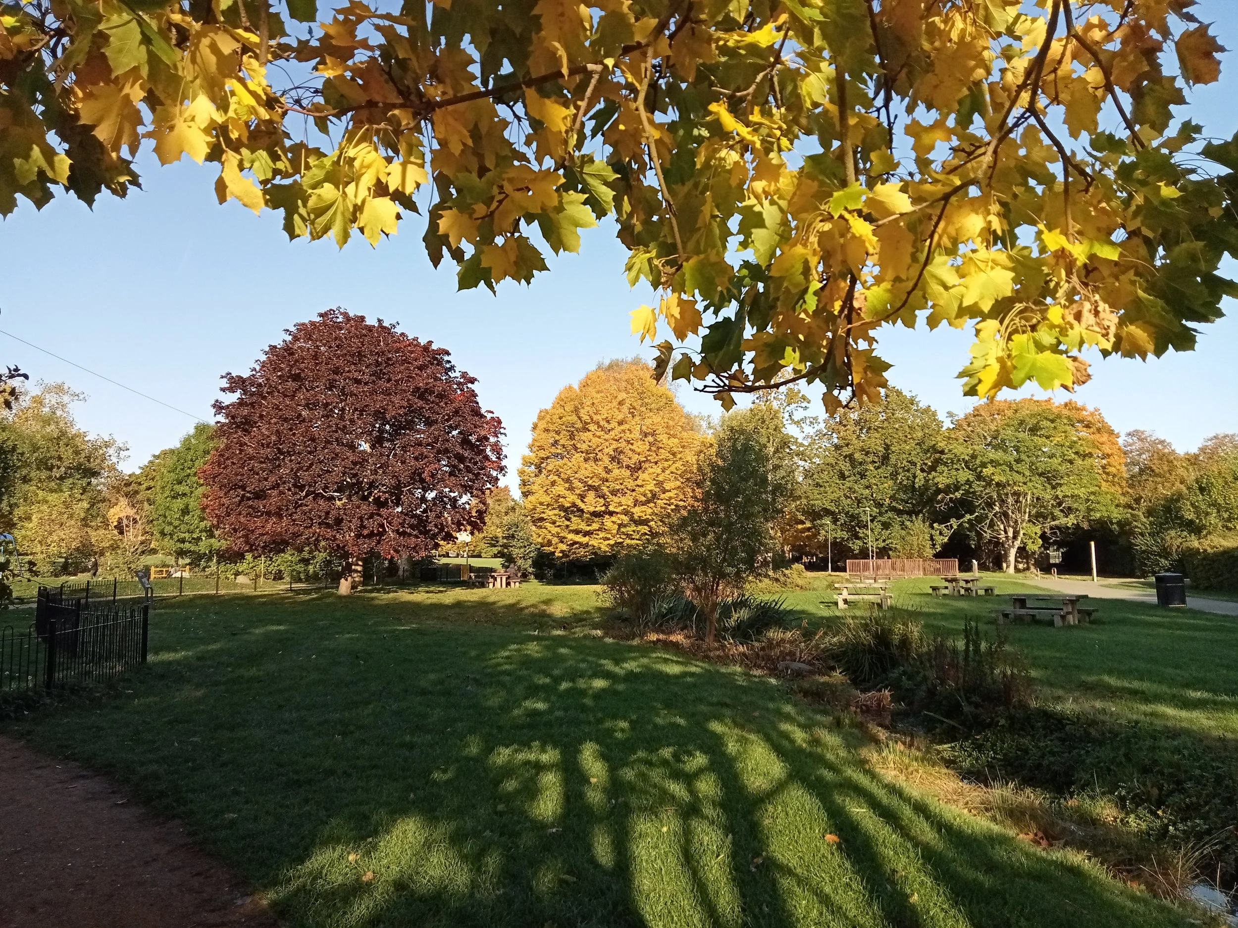 IMG20251009092513.jpg