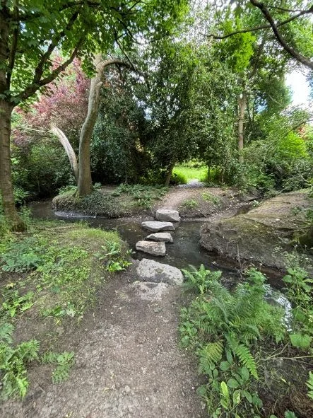 Stepping Stones MAIN.jpeg
