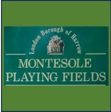 montisole update logo.jpg