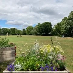 Boxtree Park.jpg