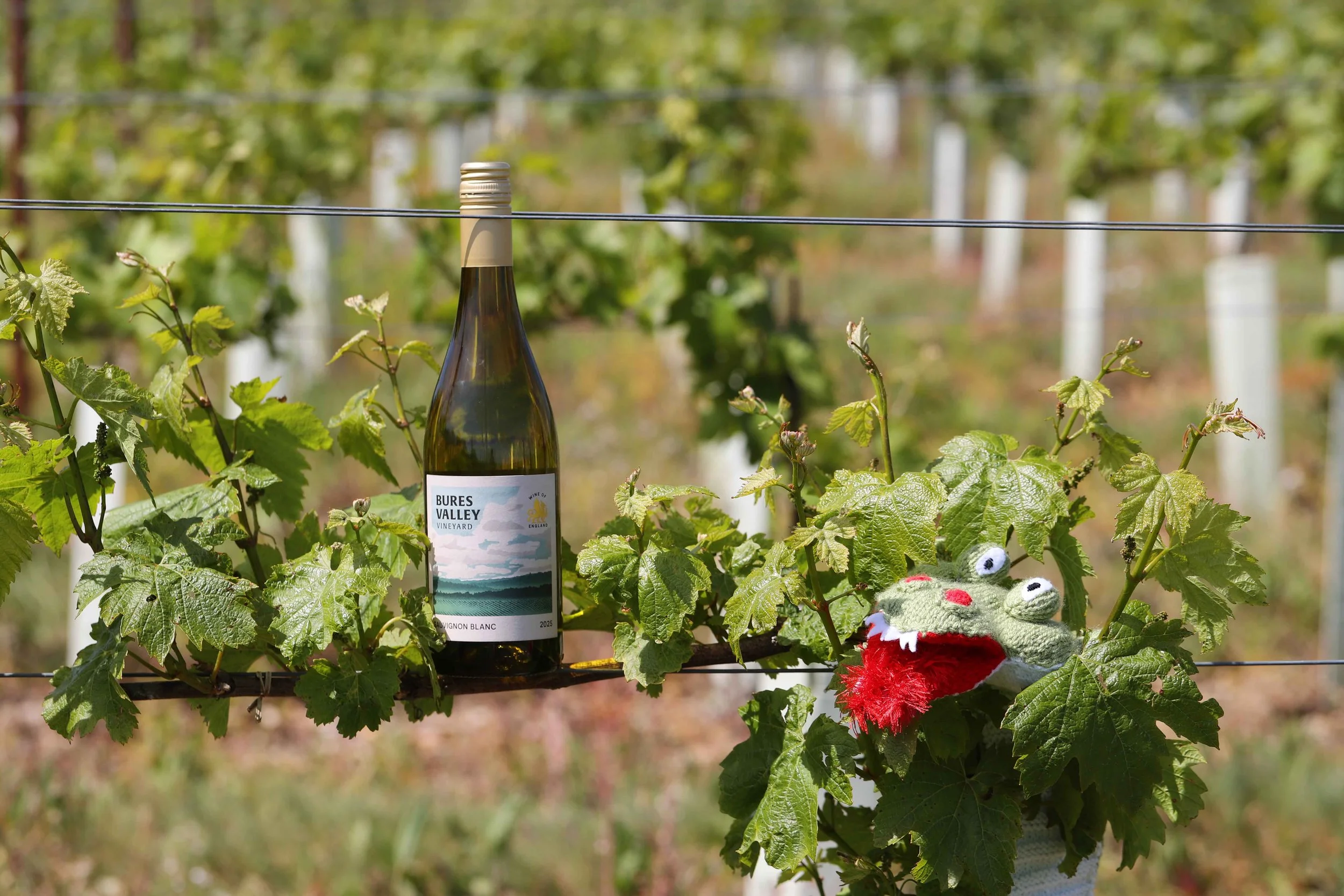 Fathers Day at Bures Valley Vineyard