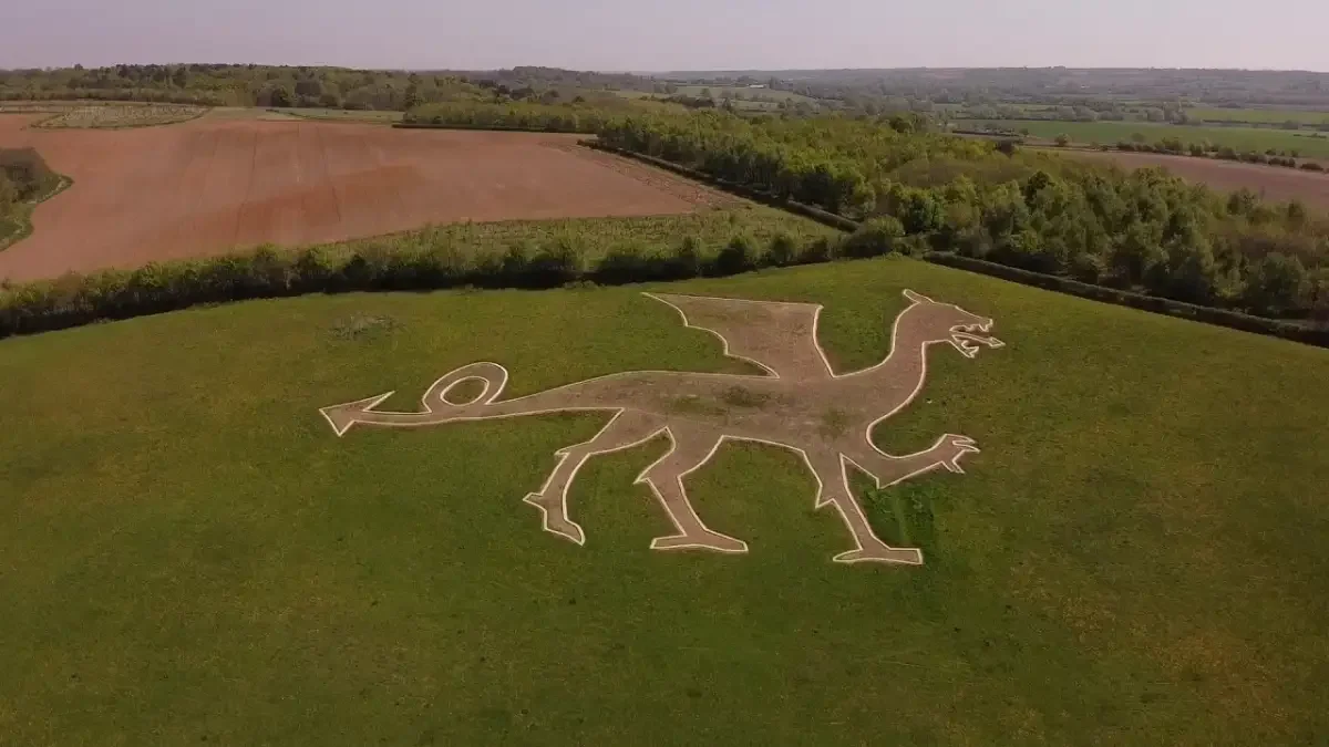 A large grassy field with a dragon-shaped outline created from dirt paths, surrounded by farmland and trees in the distance.