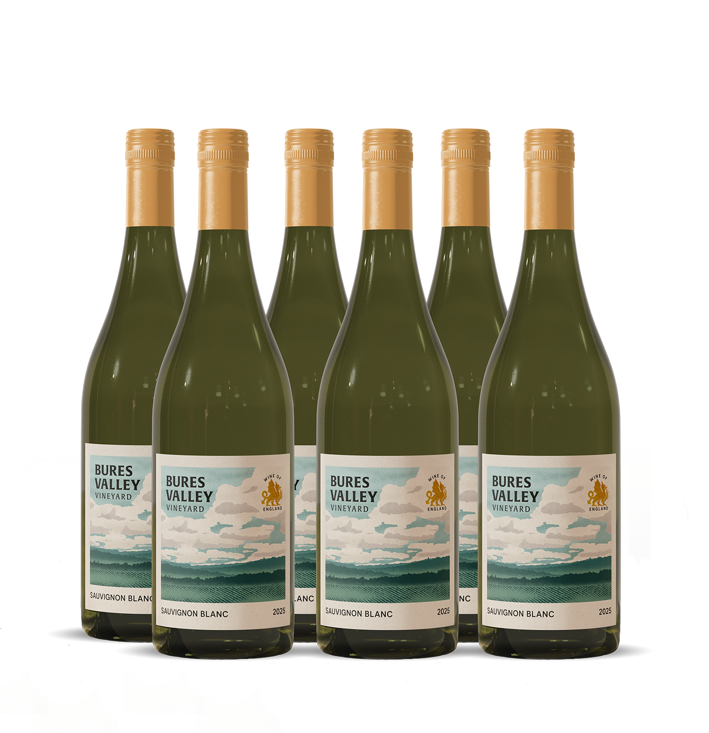 Case of 6 Sauvignon Blanc 2025