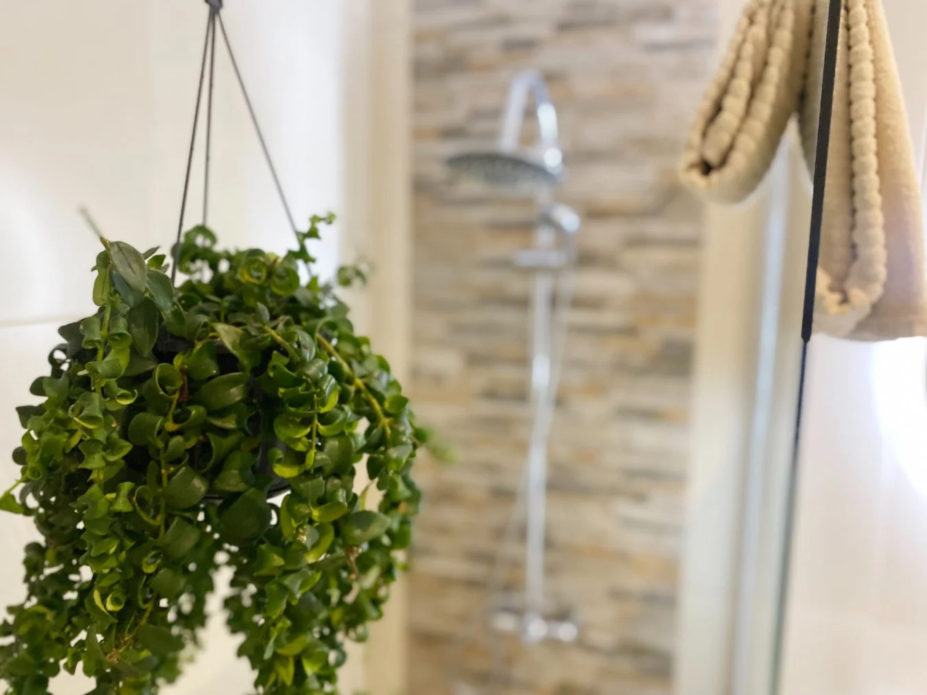 Close-up of a hanging potted plant in the foreground with a blurred showerhead and tiled wall in a bathroom background. Holiday home in Lagos Algarve
