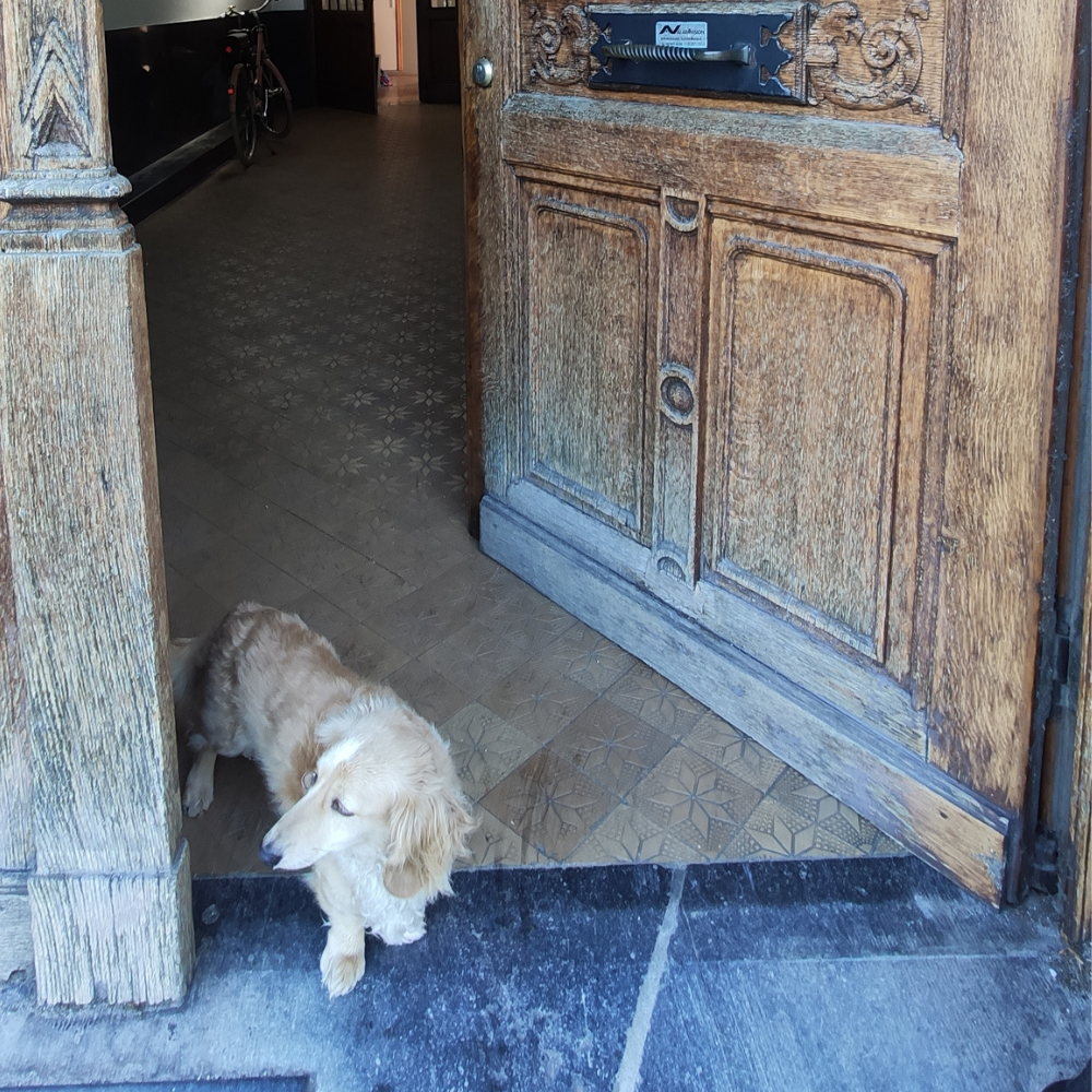 Portes ouvertes  