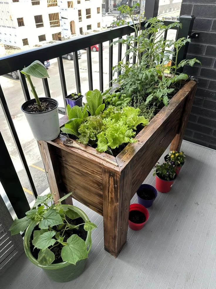 Bac à potager pour balcon - 120€ [ ou 3 parts de 40€ ]