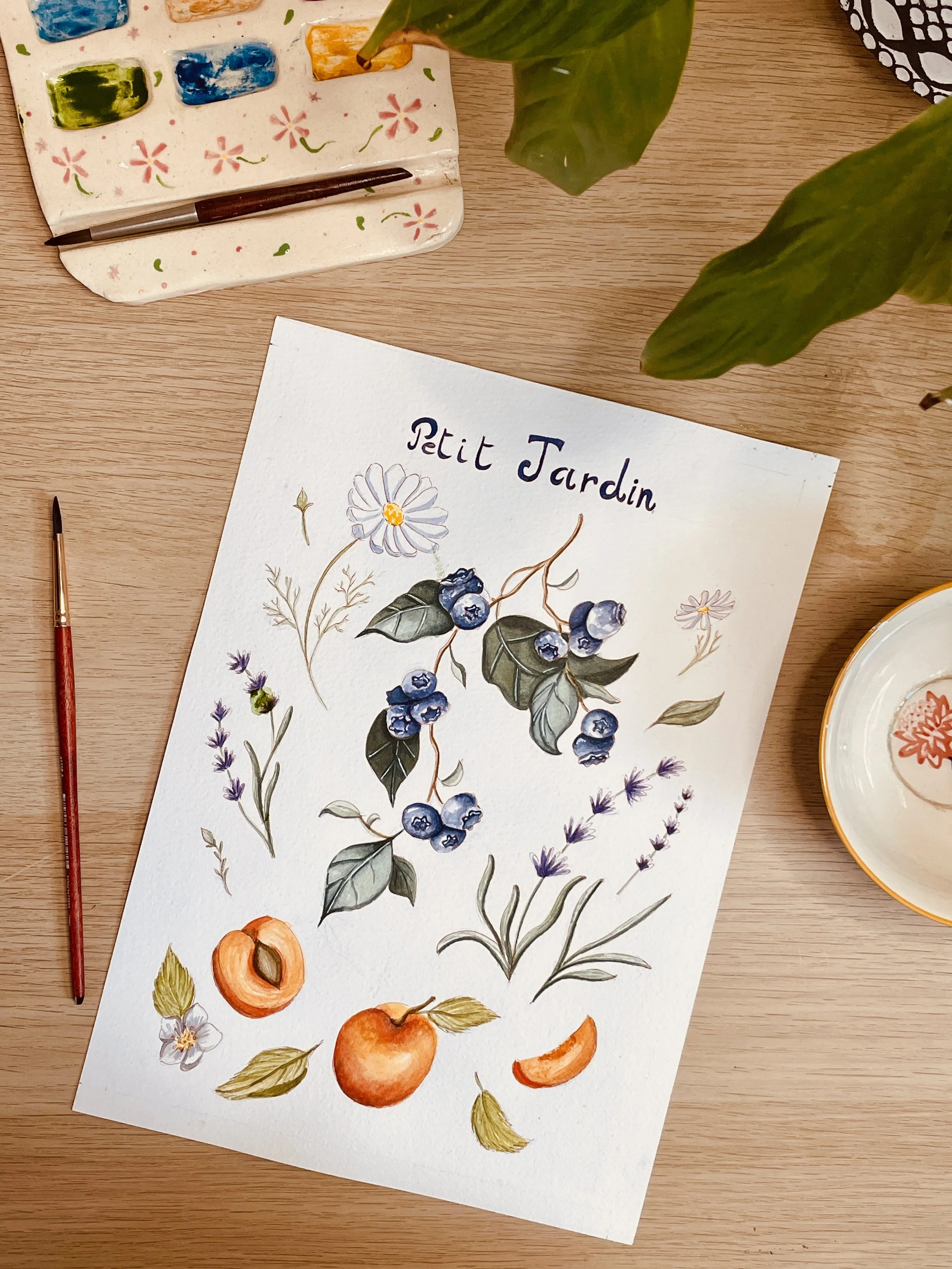 petit_jardin_1.jpg