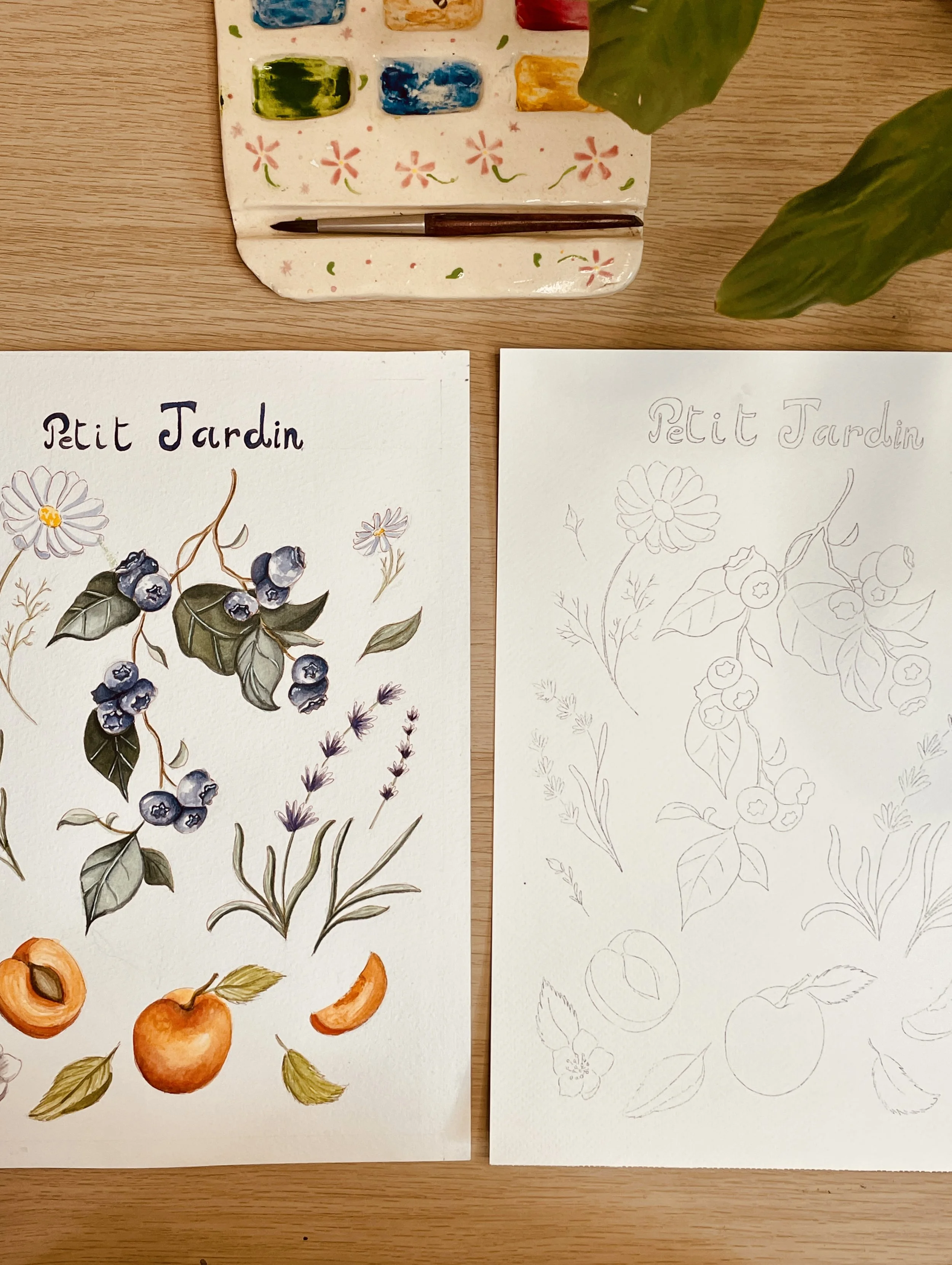 petit_jardin_3.jpg
