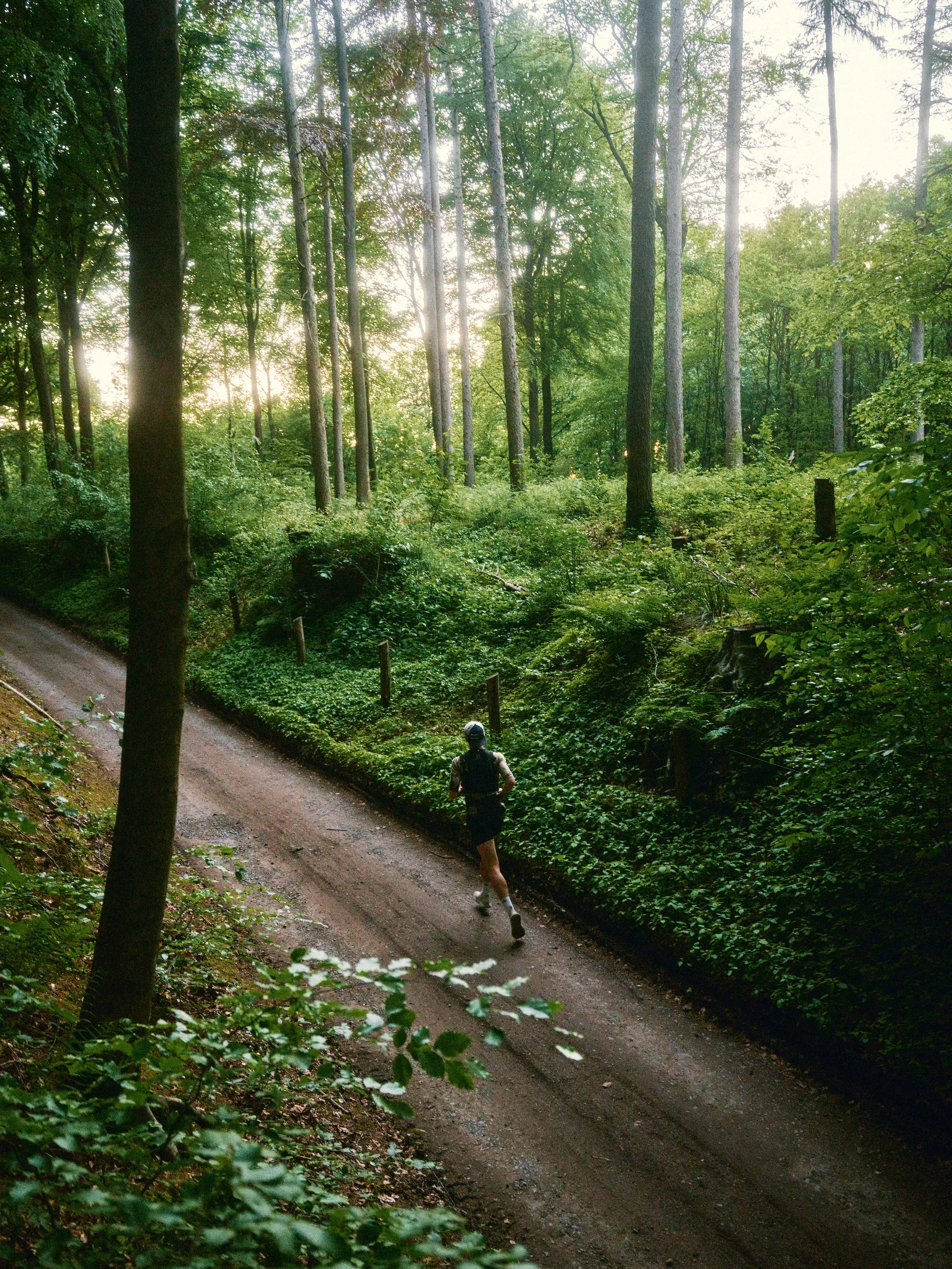 Chase Endurance Coaching is personal coaching that considers the entire athlete. For trail runners, road runners and cyclists of all levels.