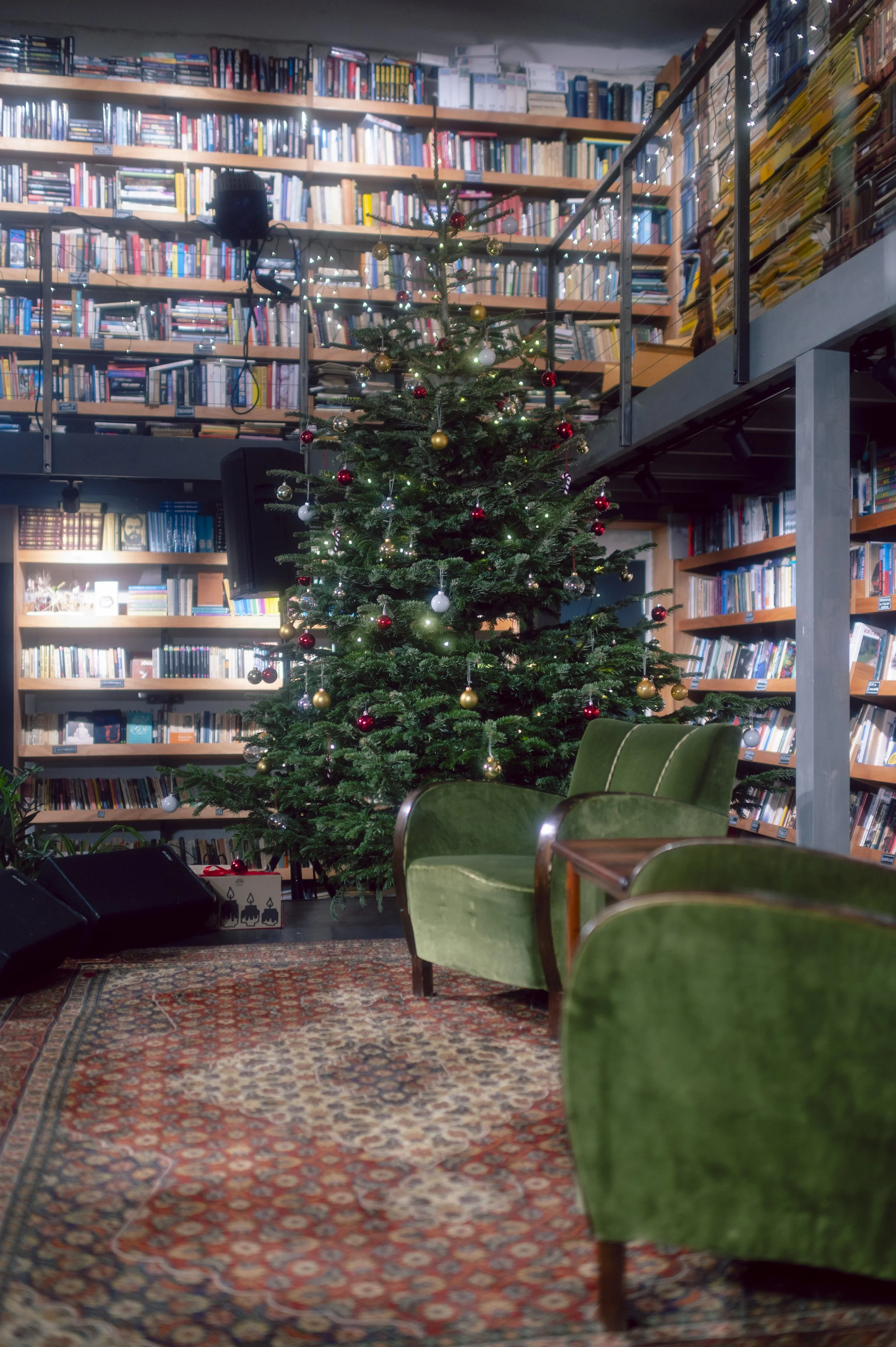 Indoor scene featuring a decorated Christmas tree with red, white, and gold ornaments, set in a cozy room filled with bookshelves, green vintage chairs, and a patterned rug.