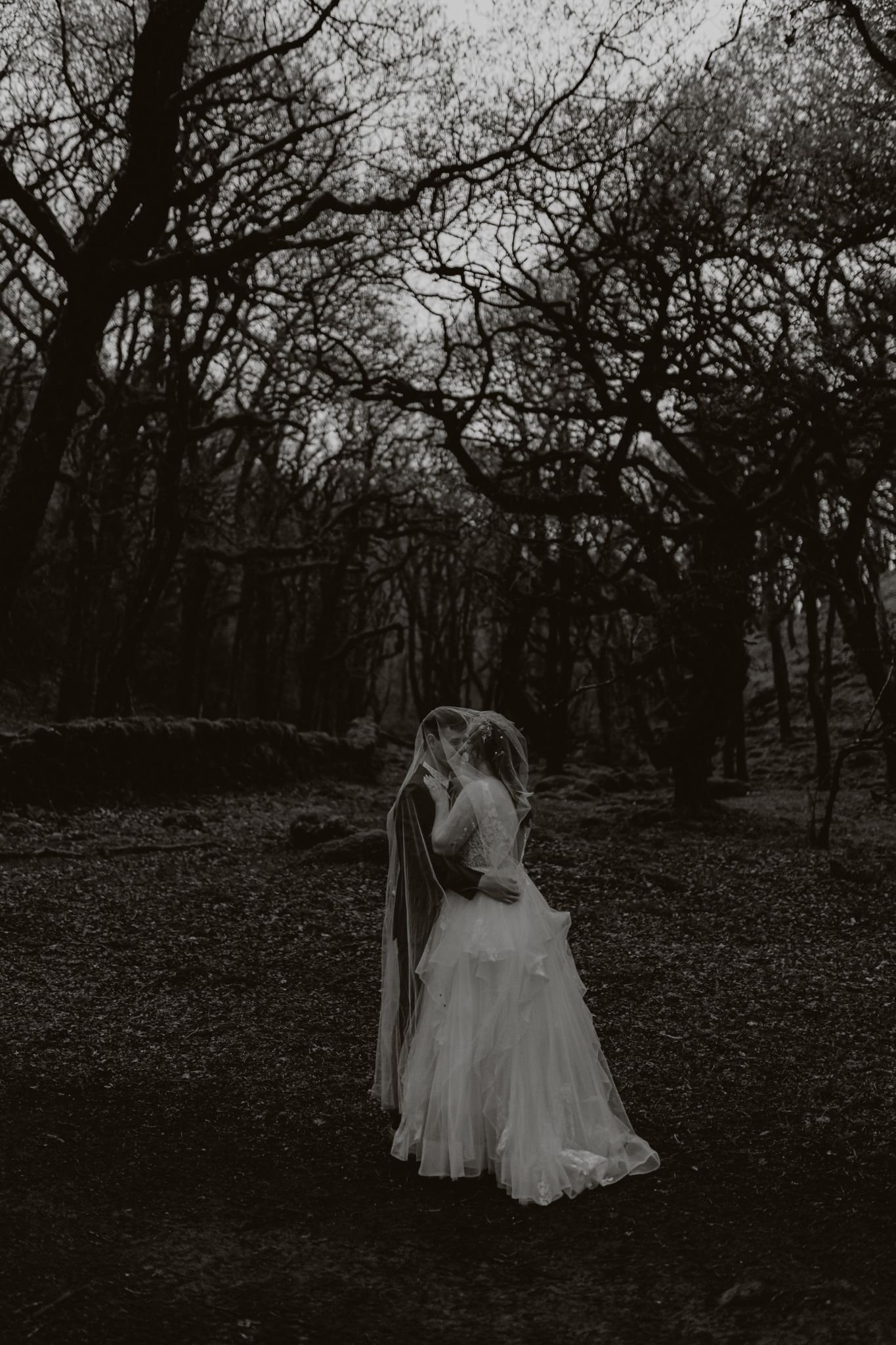A bride and groom sharing a kiss under a veil in a dark, wooded forest with leafless trees.