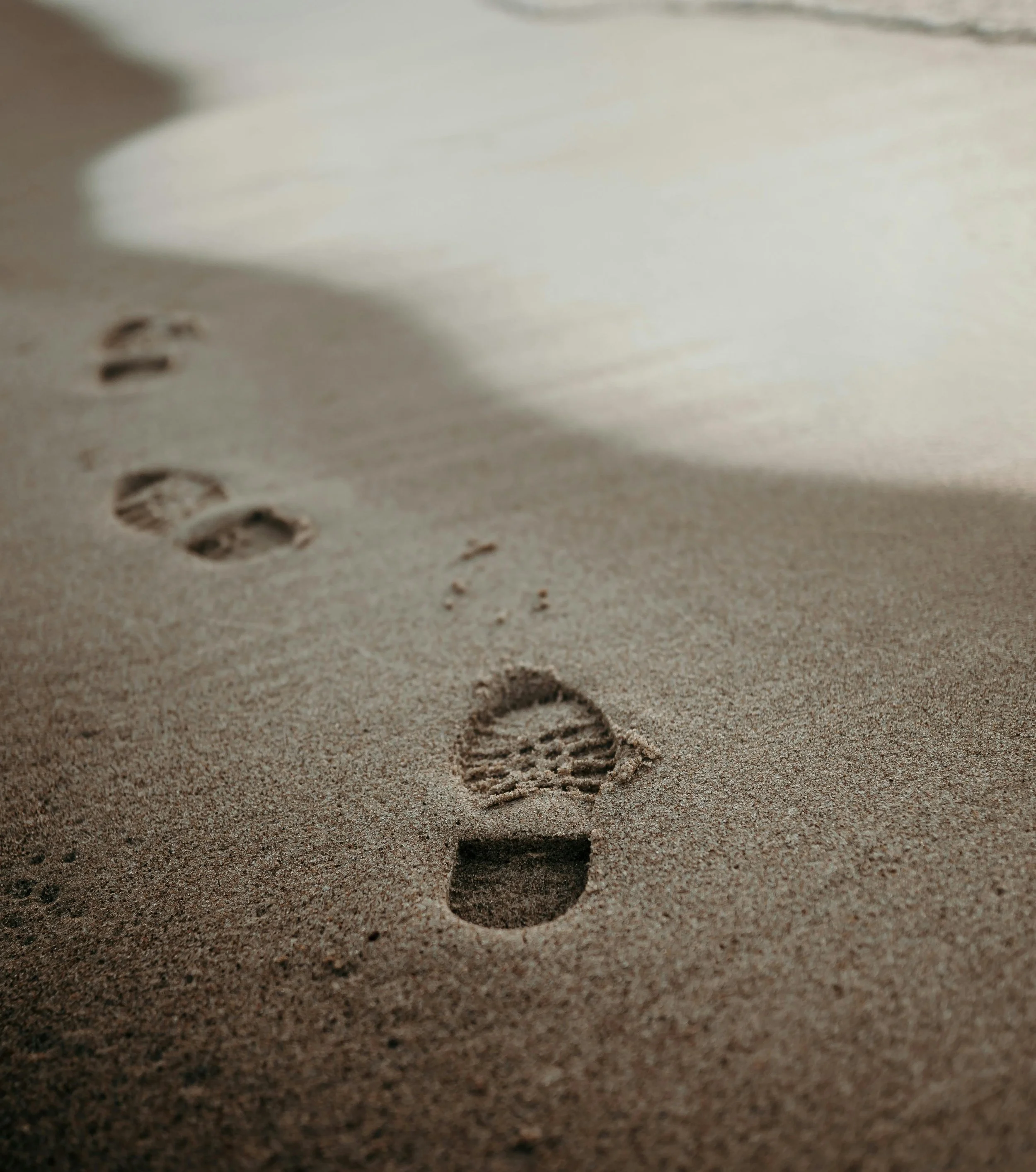 Evolution On The Move