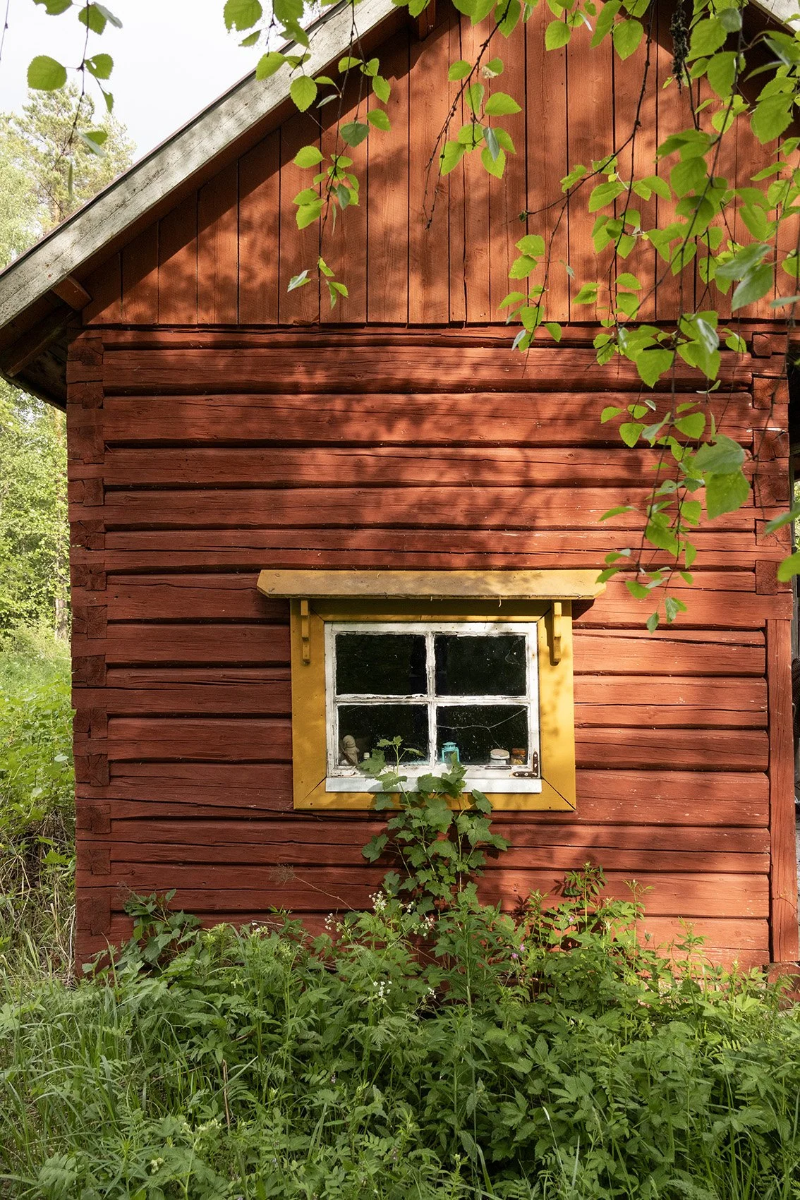 Punamultainen hirsirakennus vihreässä maisemassa.