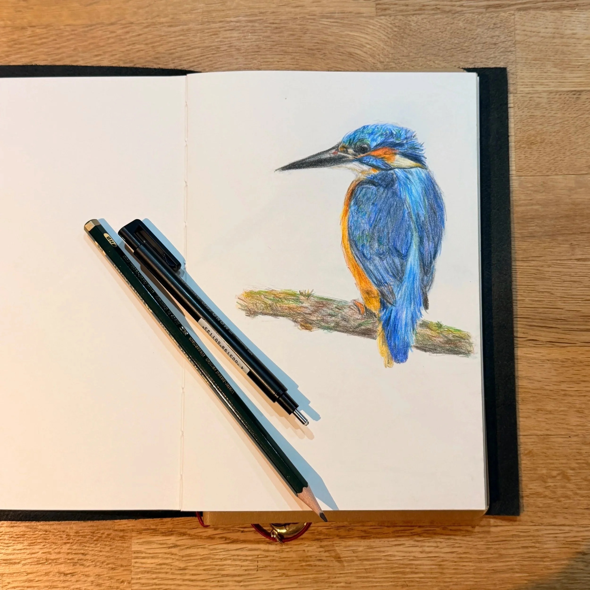 Color pencil drawing of a kingfisher bird on a branch, with drawing tools resting on an open sketchbook.