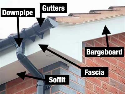 Close-up diagram of a house gutter system showing downpipe, gutters, bargeboard, fascia, and soffit labeled with arrows.