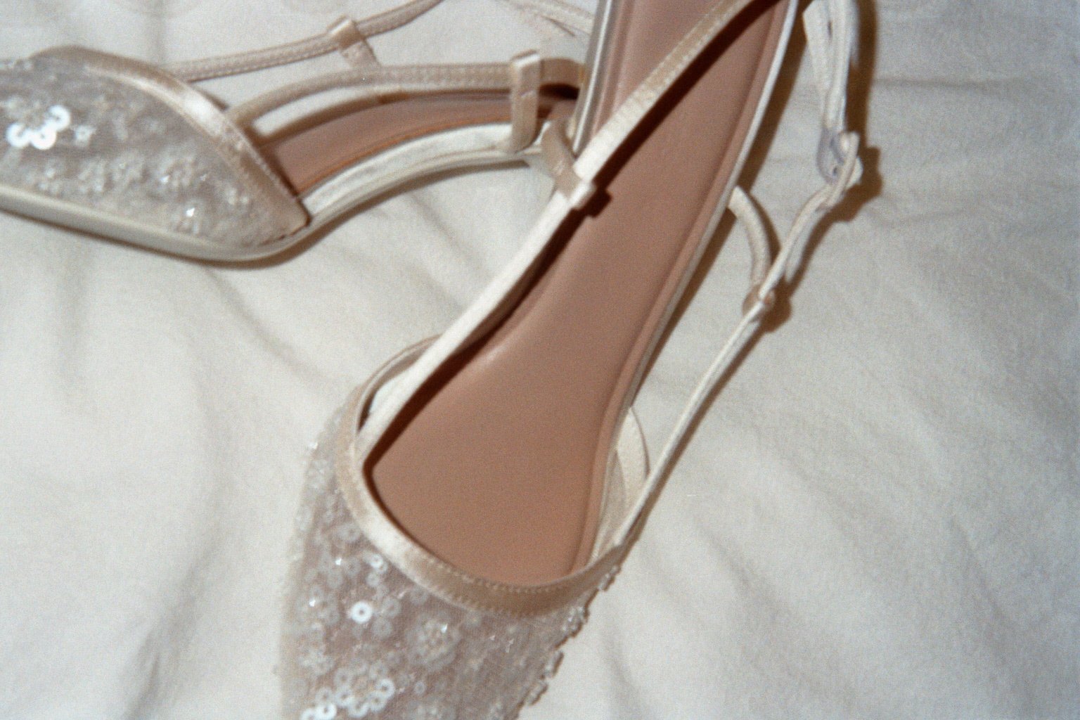 imm005_7.jpg