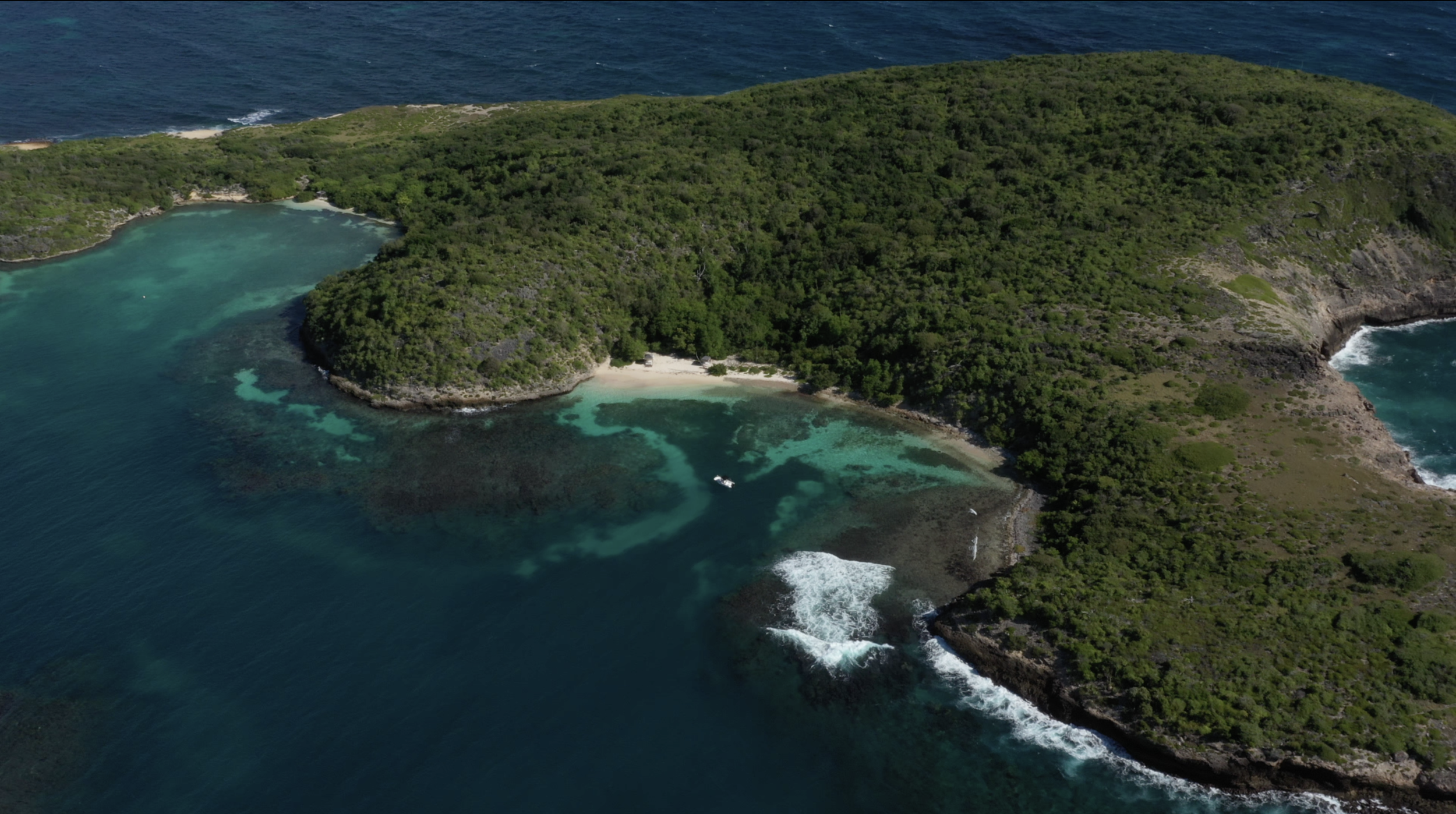 Screen Shot 2021-02-17 at 11.10.58 PM.png