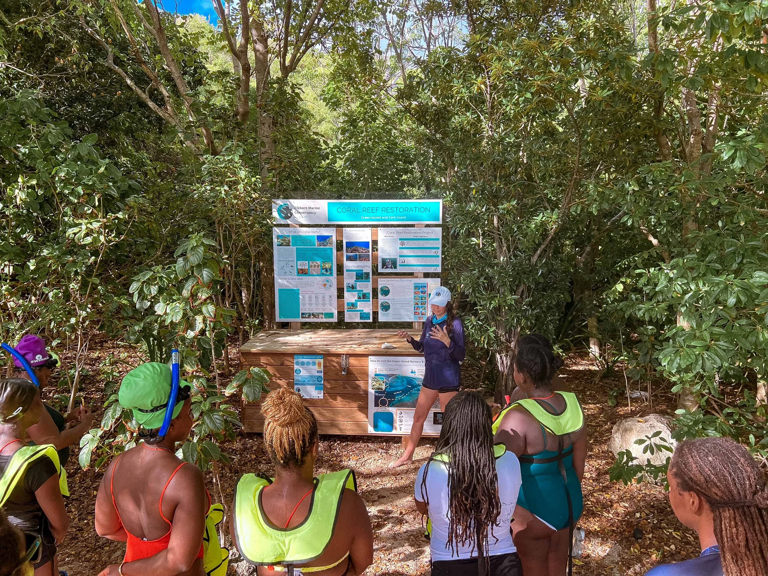 AnuBlue (formerly Elkhorn Marine Conservancy) adult swimming lessons