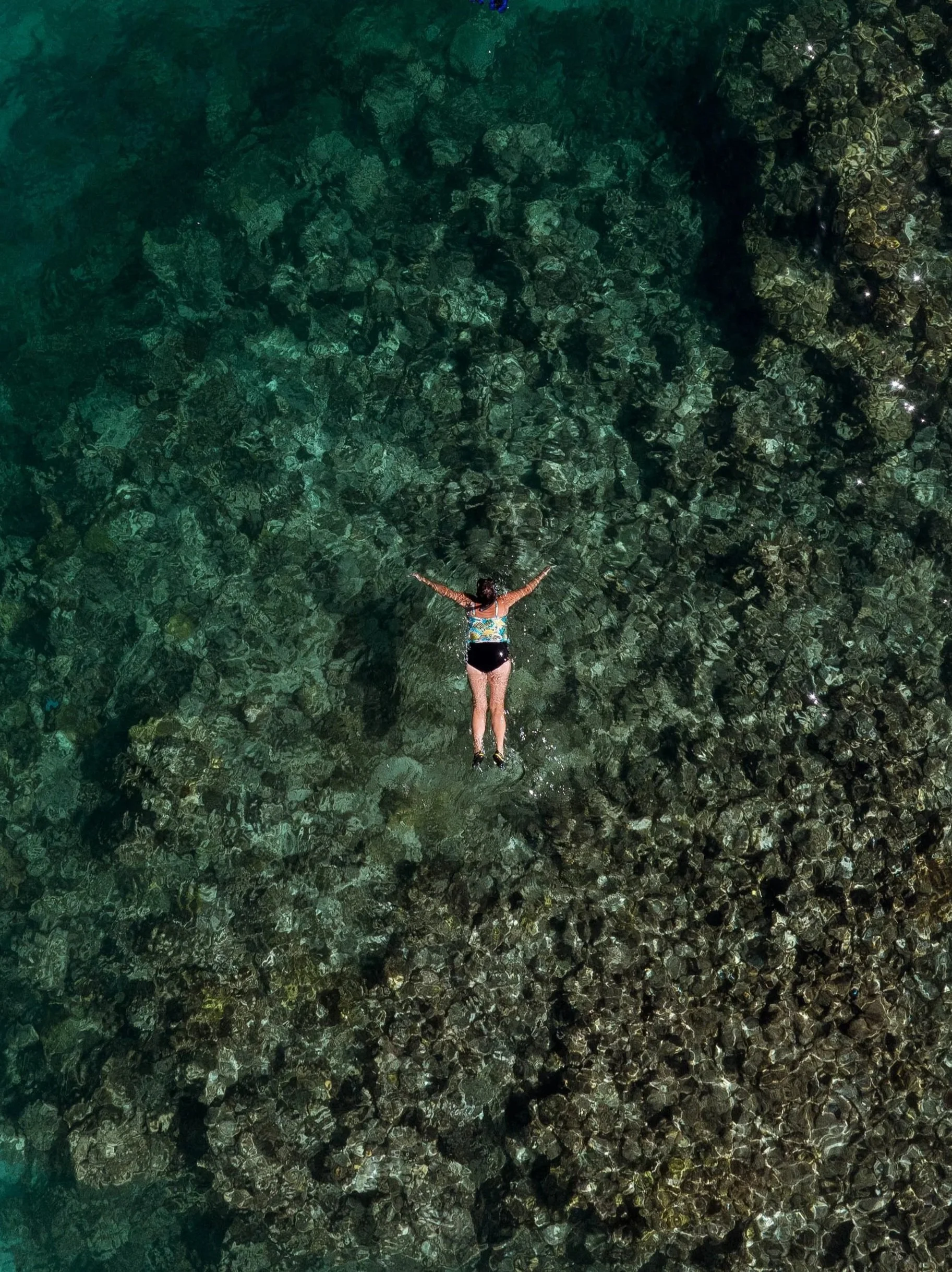AnuBlue (formerly Elkhorn Marine Conservancy) snorkel tours