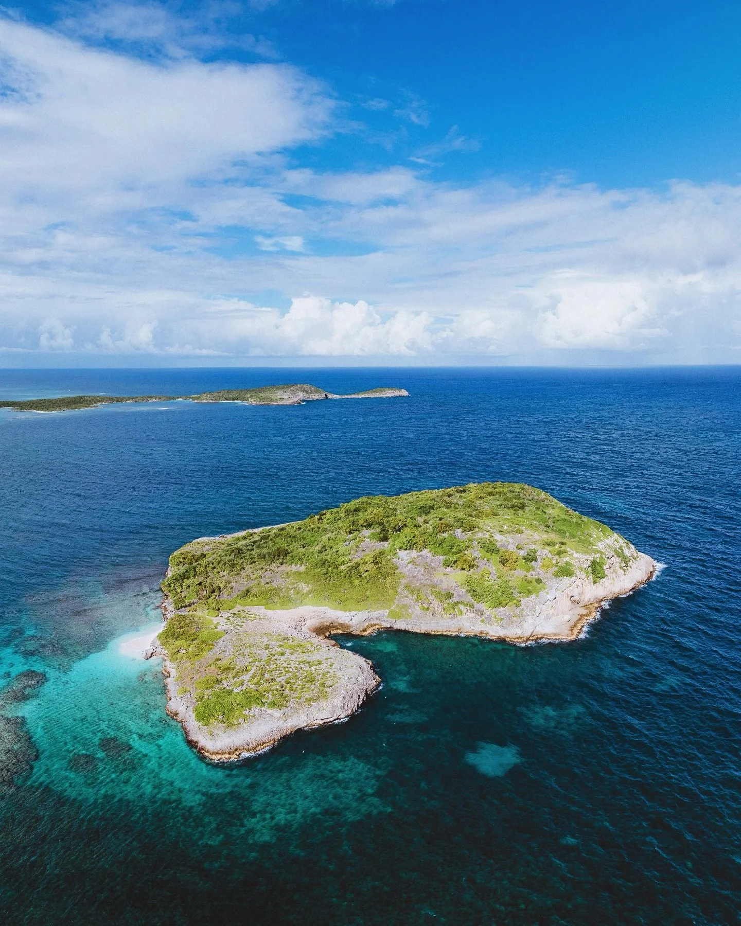 From protecting coral reefs to offering seabird nesting grounds, York Island demonstrates how even the smallest islands make a big ecological impact.