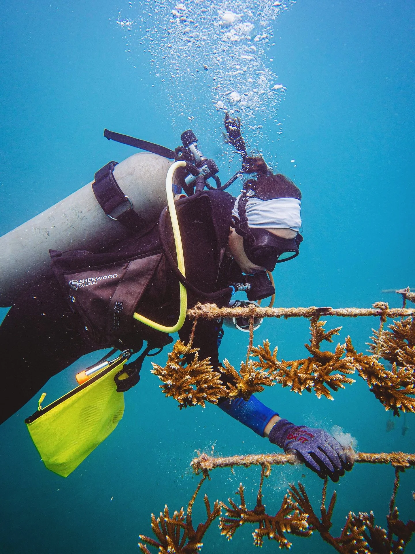 Restoration begins with careful attention! 🪸👀Monique, our Marine Restoration Officer, keeping a close eye on coral fragments at one of our nurseries.