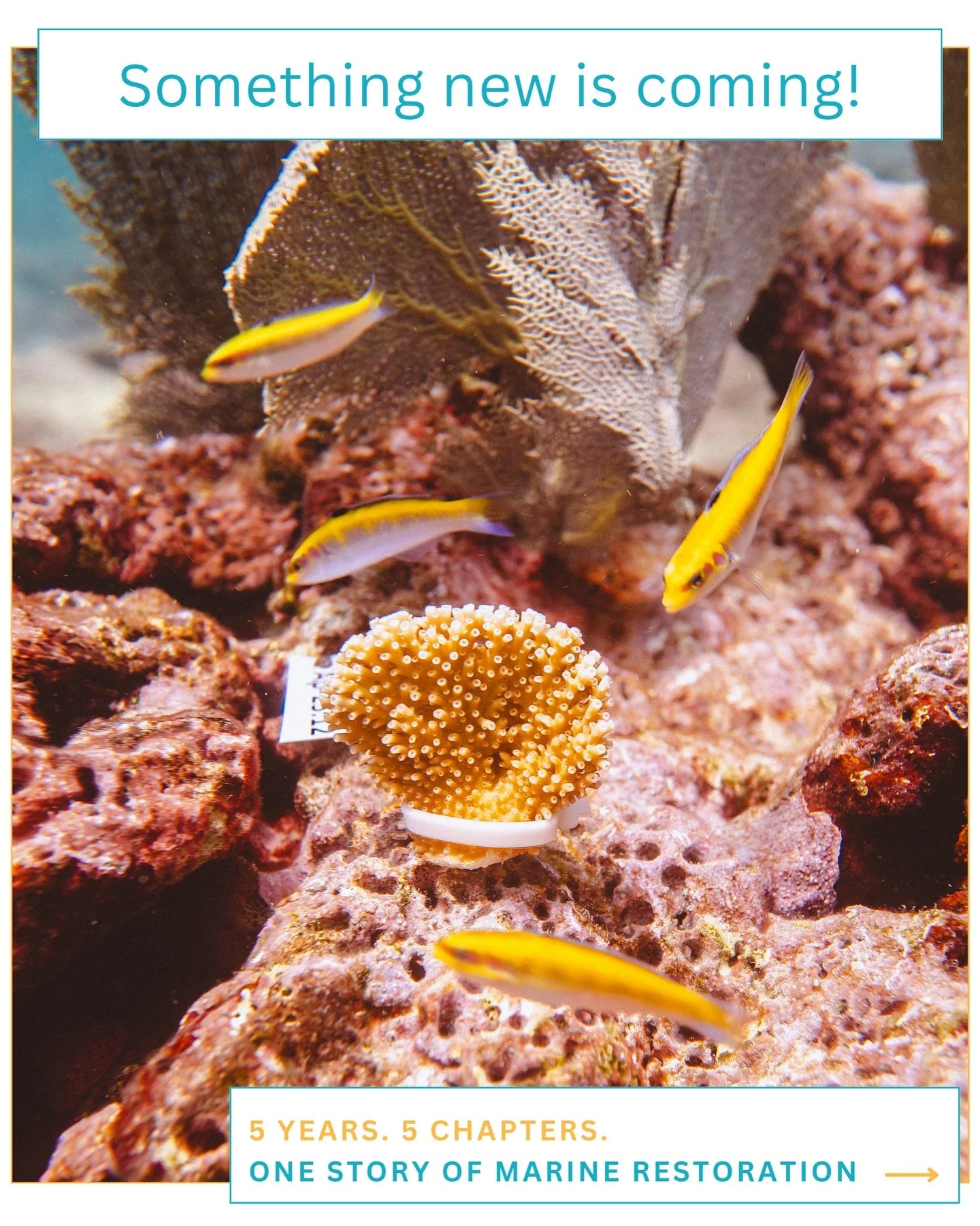 We&rsquo;re getting ready to share something new! ⭐️

But first, we&rsquo;re revisiting five years of our journey and the moments that shaped who we are.

This is Year One of our story.

Five years. Five chapters.
Stay tuned&hellip; 👀✨