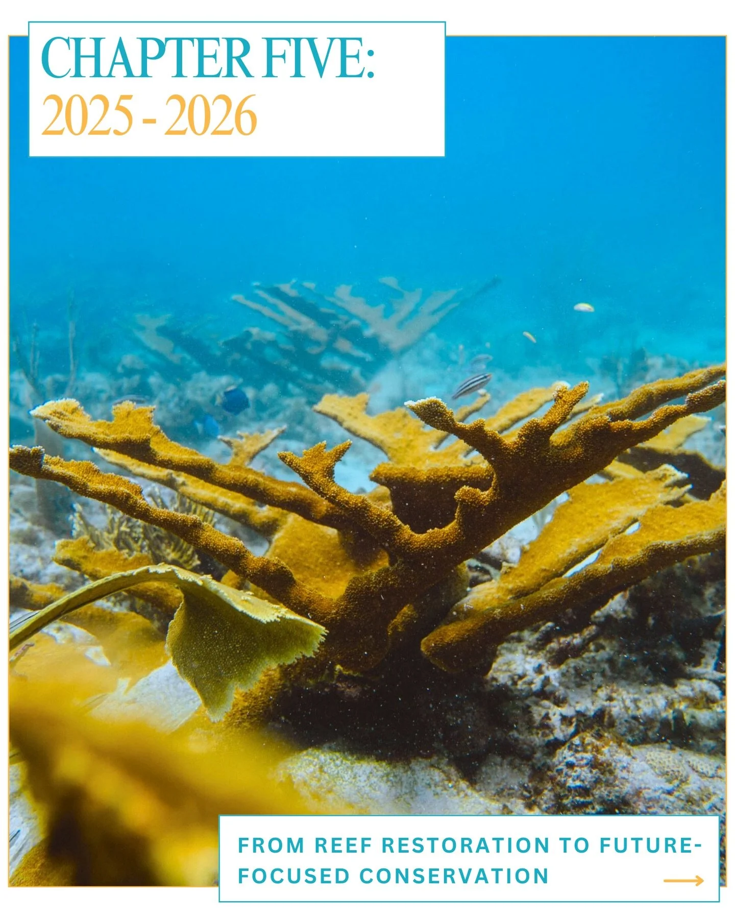 The next chapter is ready to be unveiled&hellip;

As we reflect on the past five years, we celebrate the progress, lessons, and milestones that have shaped our journey.

With this chapter closing, we look ahead with excitement to what&rsquo;s next!

