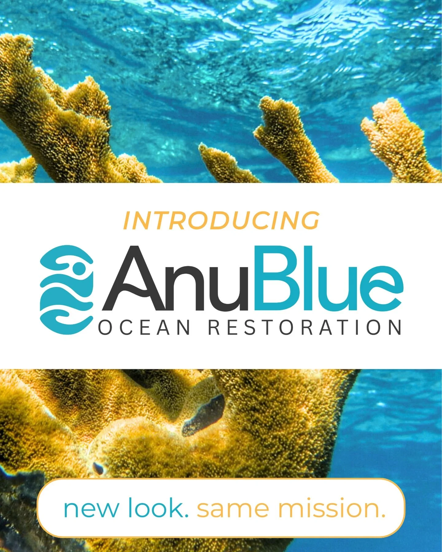 As we enter our next chapter, we have a new identity that reflects where we are now.

Take a moment to discover AnuBlue 🩵