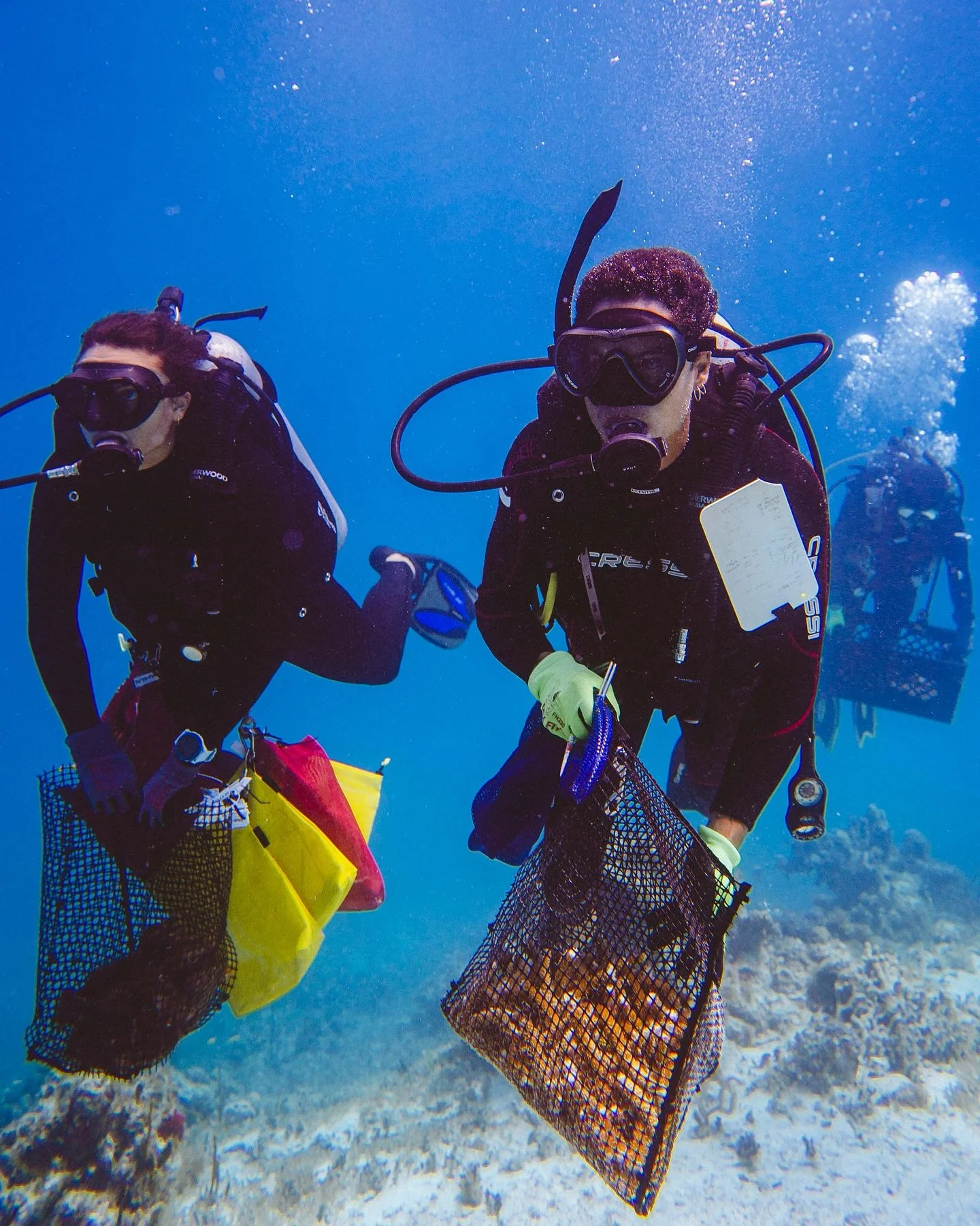 Behind every reef restoration effort is a team willing to carry the load&mdash;literally.