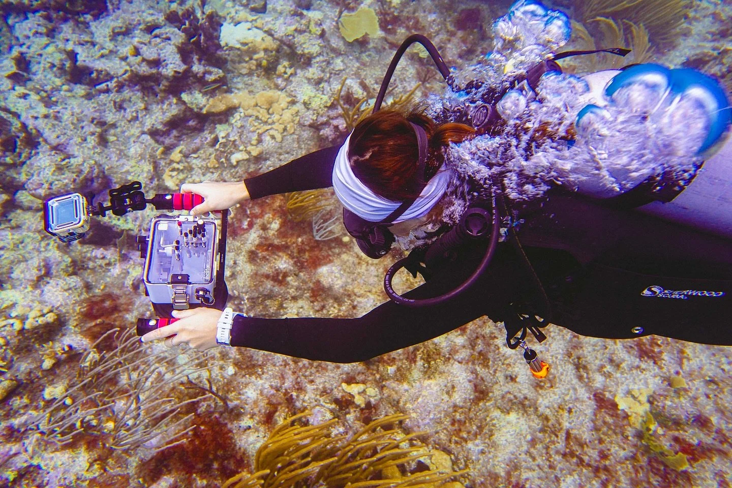 How do we monitor our restoration sites??