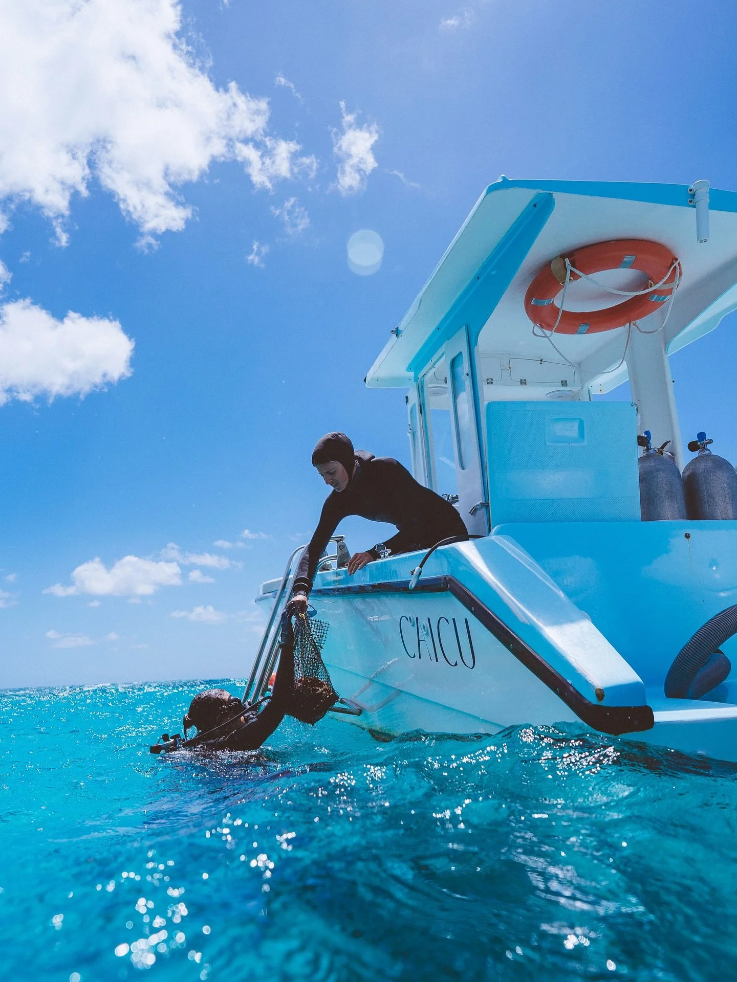 Freshly cut coral fragments are placed into the live well on Caicu, where stable conditions reduce stress and keep them safe for transport.