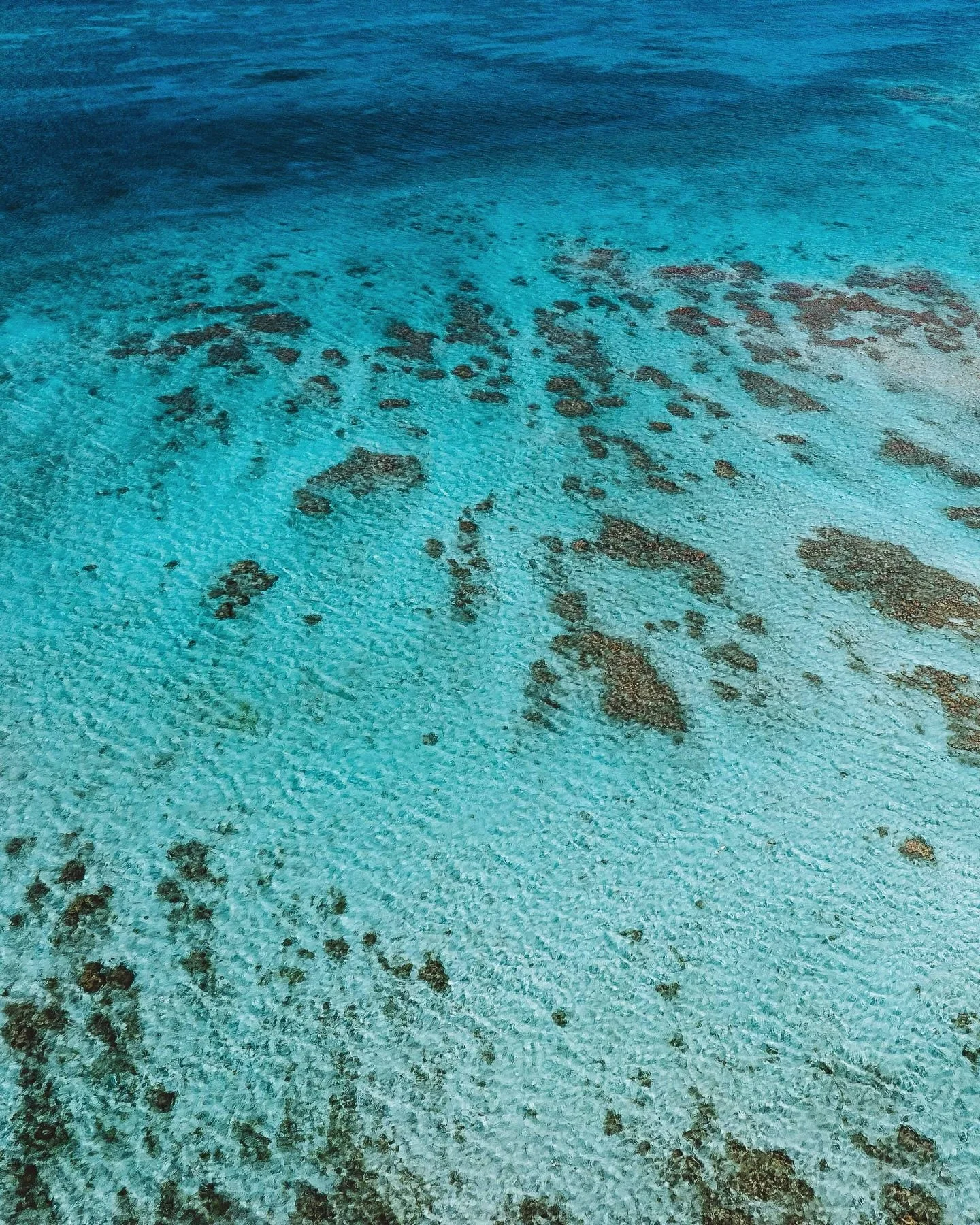 The beauty of shallow patch reefs scattered across a sandy seabed, turning open space into pockets of structure and life.