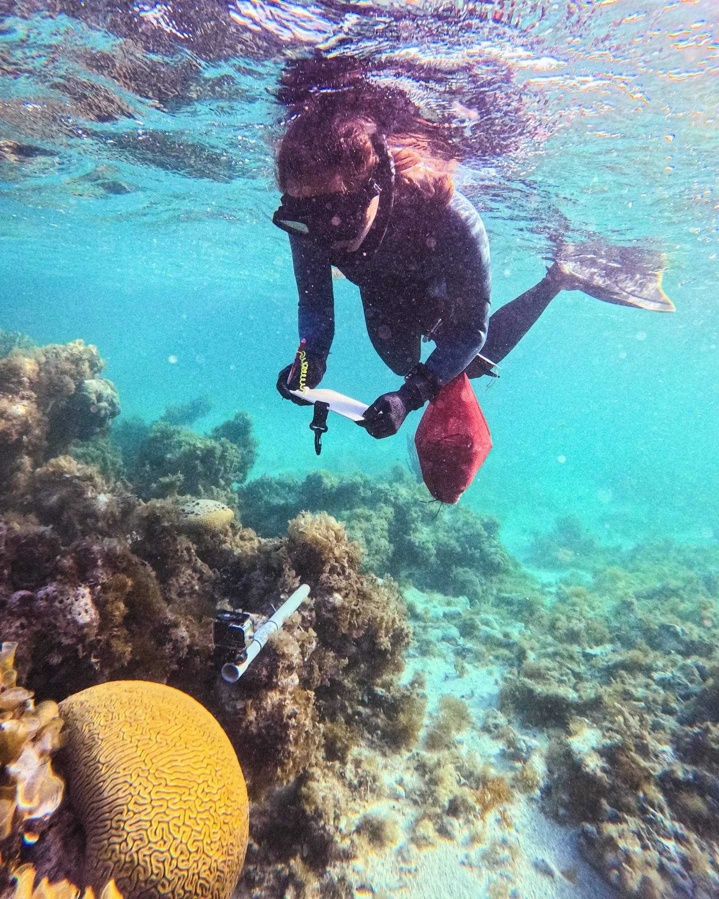 Eyes on the reef. 👀🪸