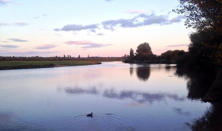 A calm river at sunset with trees on the right bank and open fields on the left, a duck swimming in the water, and clouds in the sky.