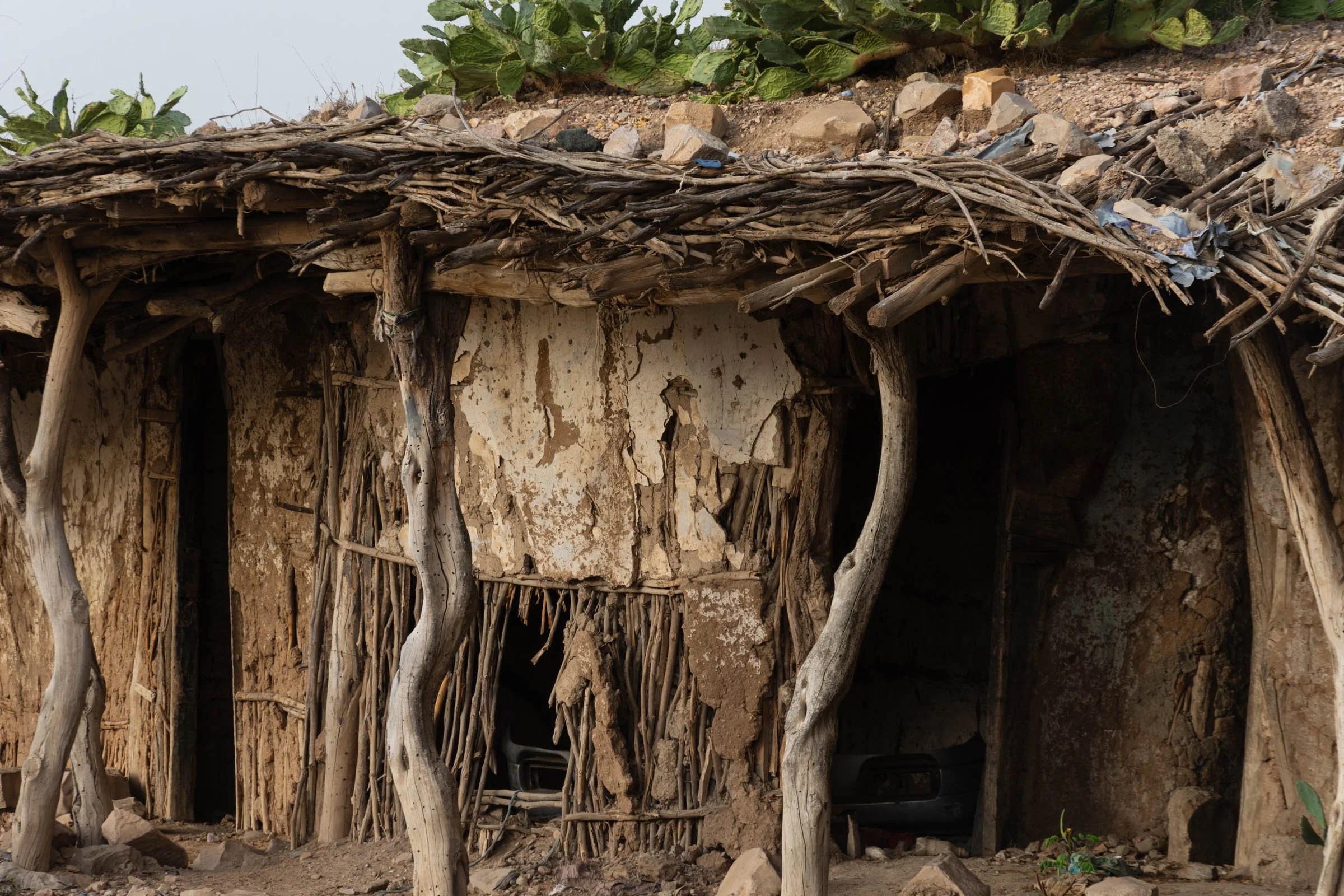 An old house made from wood and mud with a roof covered in cacti and stones