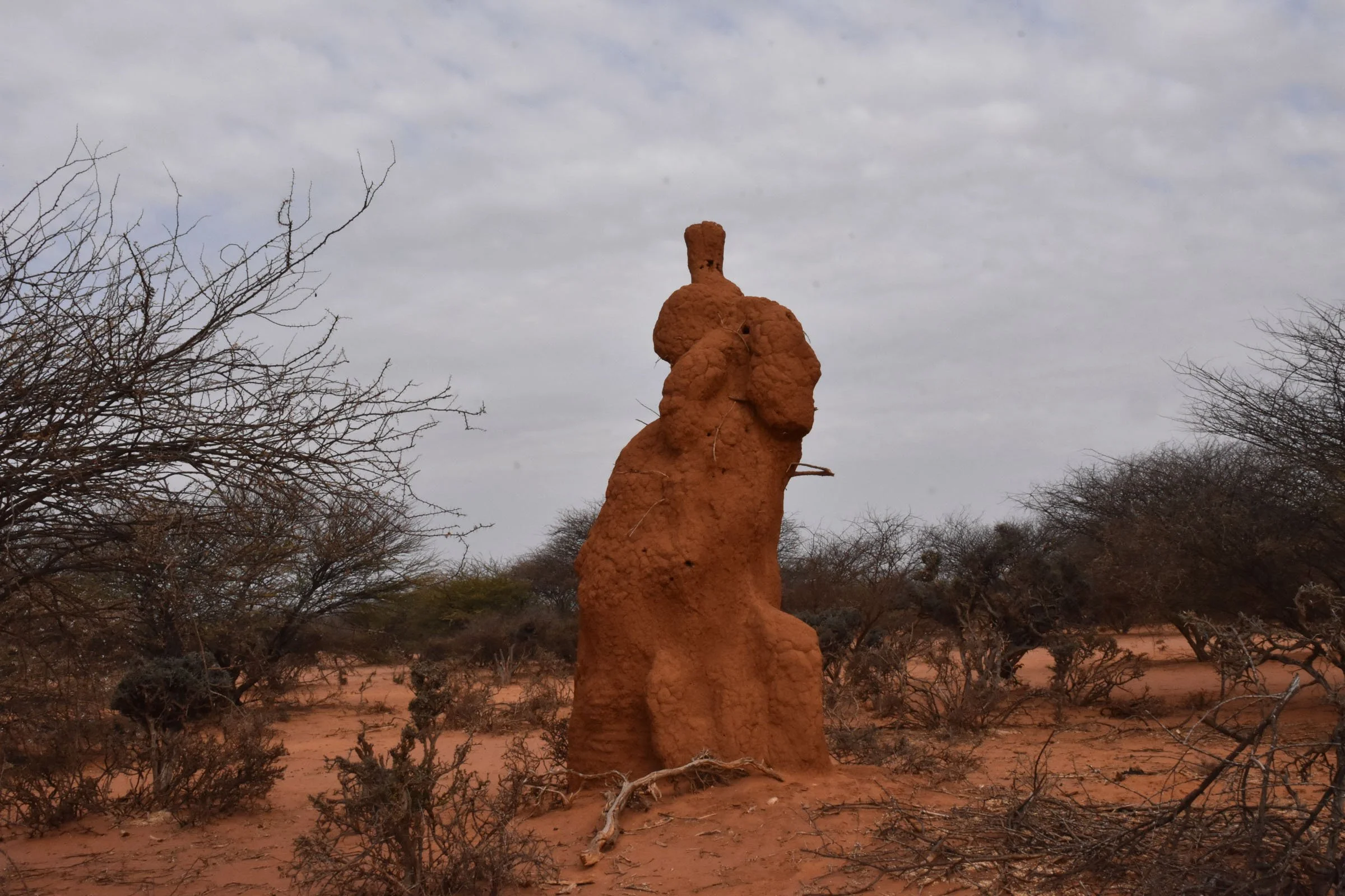 A termite mound shaped like a person towers over trees