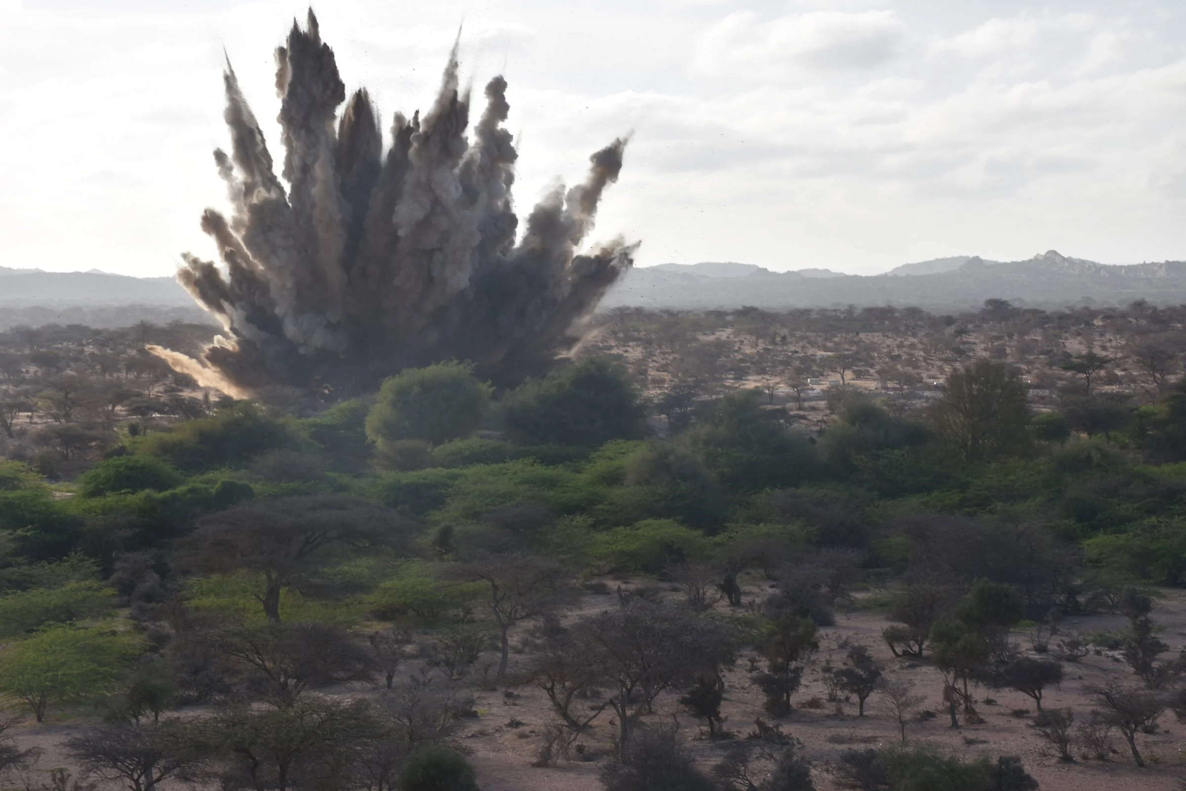 A large explosion bursts into the sky in a landscape of trees