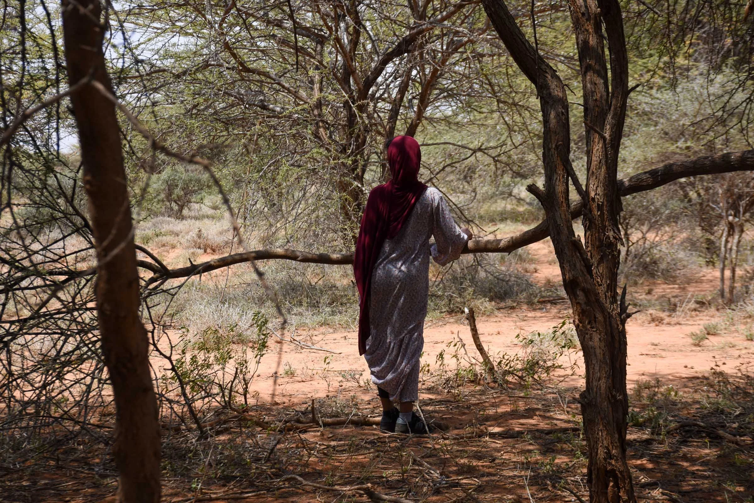 A woman looks out across a clearing between two trees