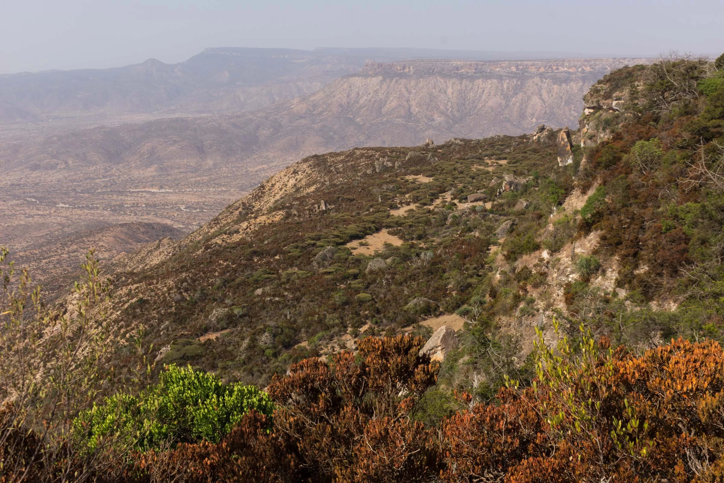 A view of mountain escarpments with trees in the foreground