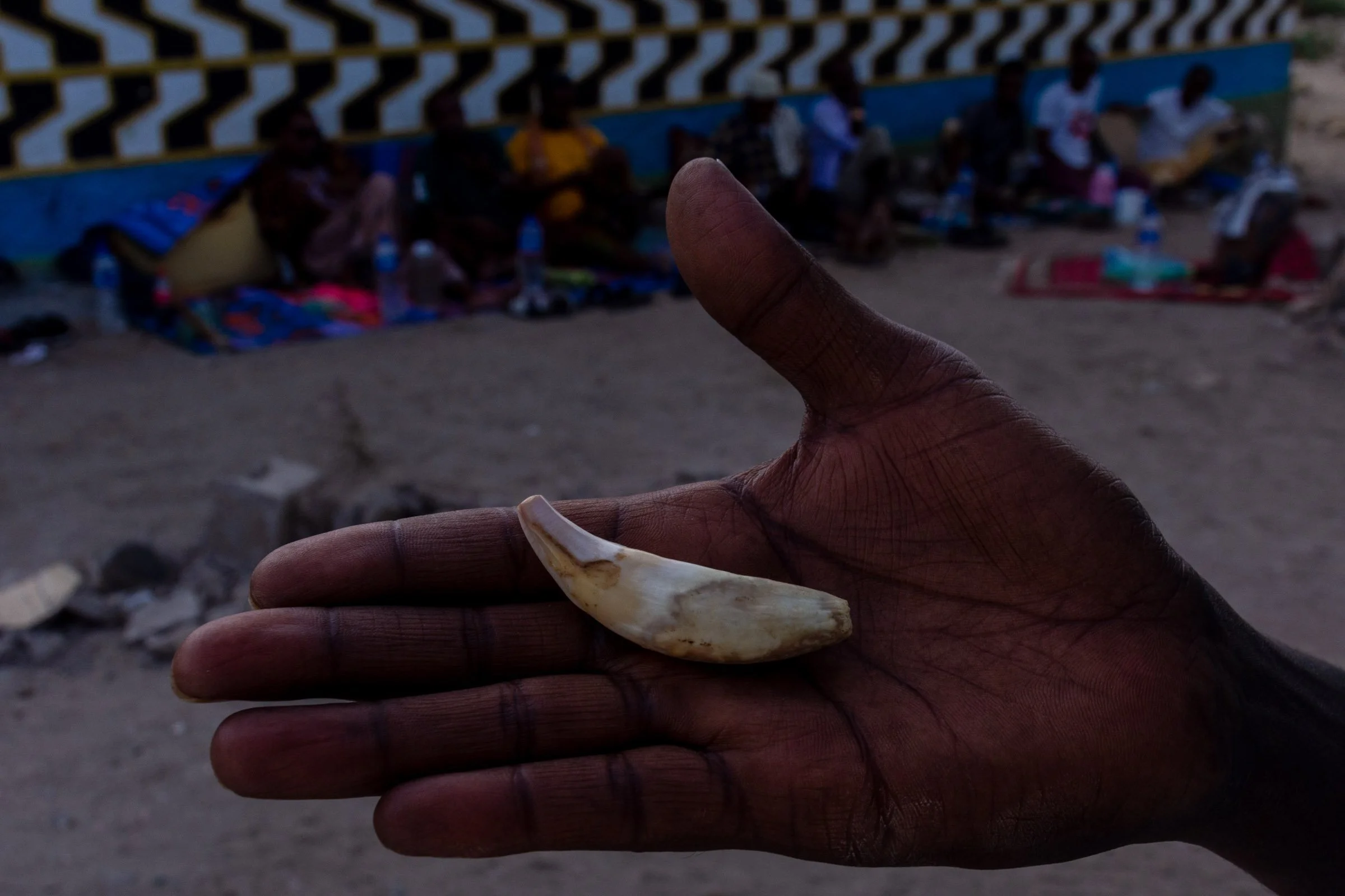 A tooth lies in the palm of a hand
