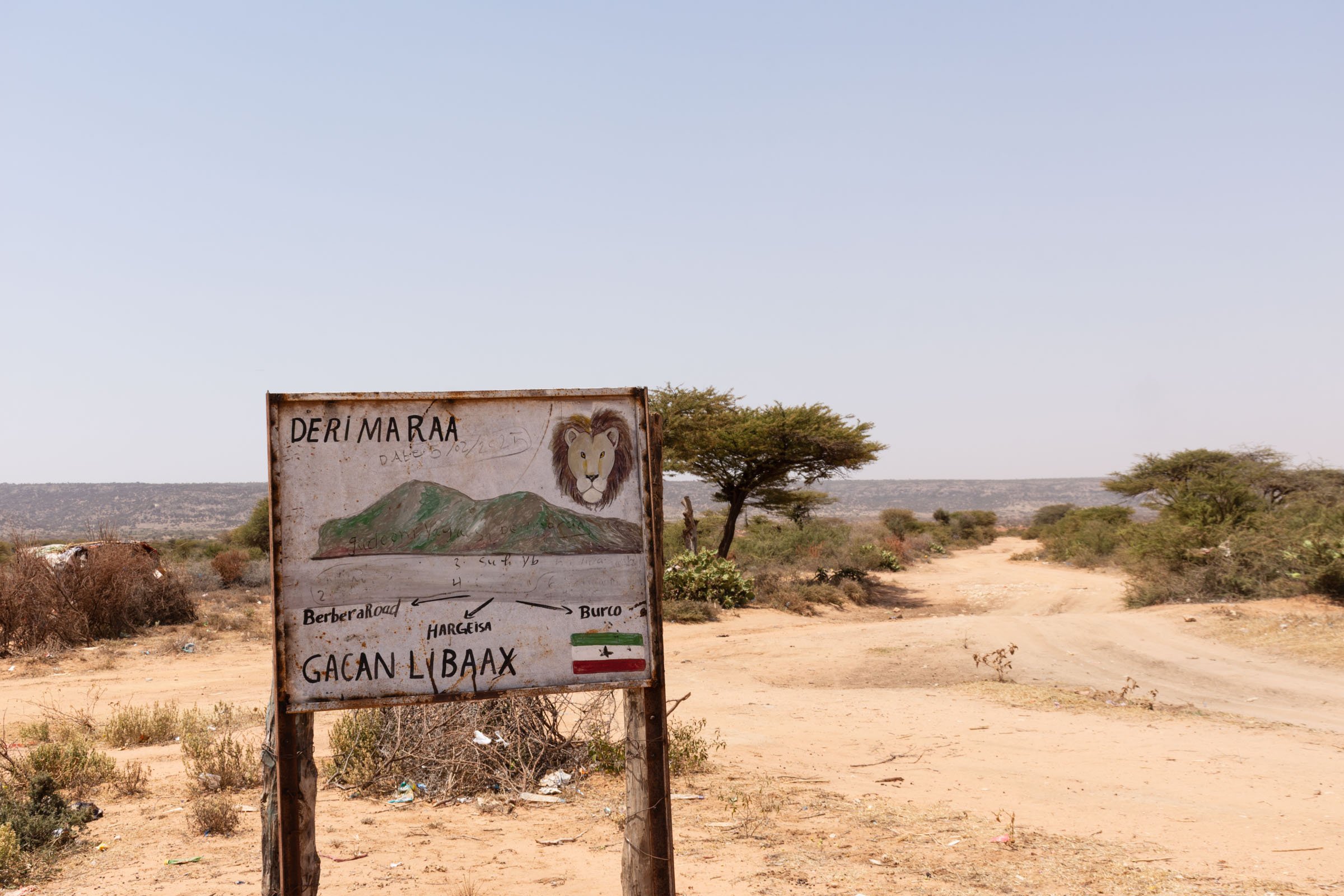 A sandy desert road stretches out beyond a sign showing the face of a lion