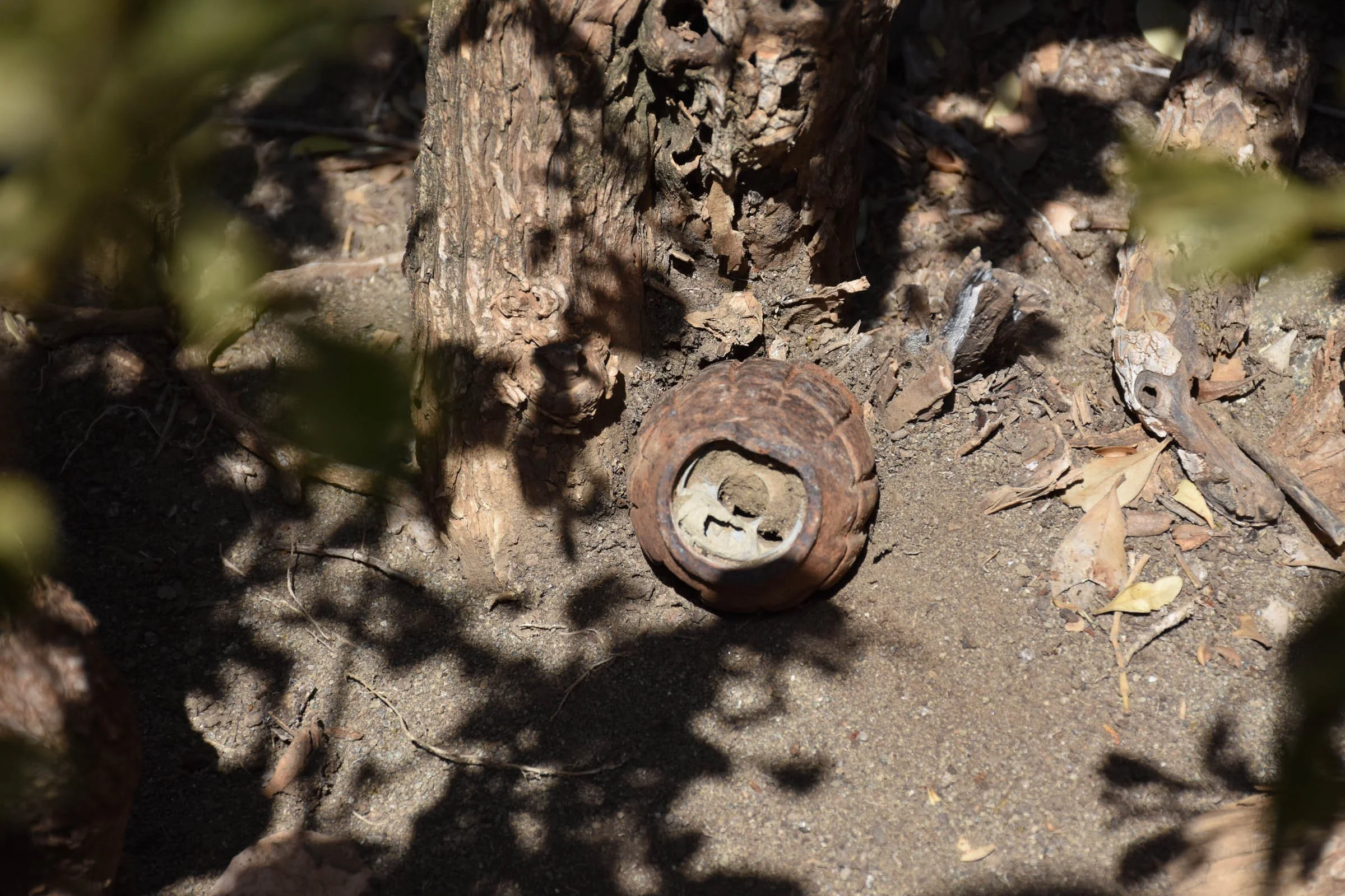 A hand grenade is concealed in foliage