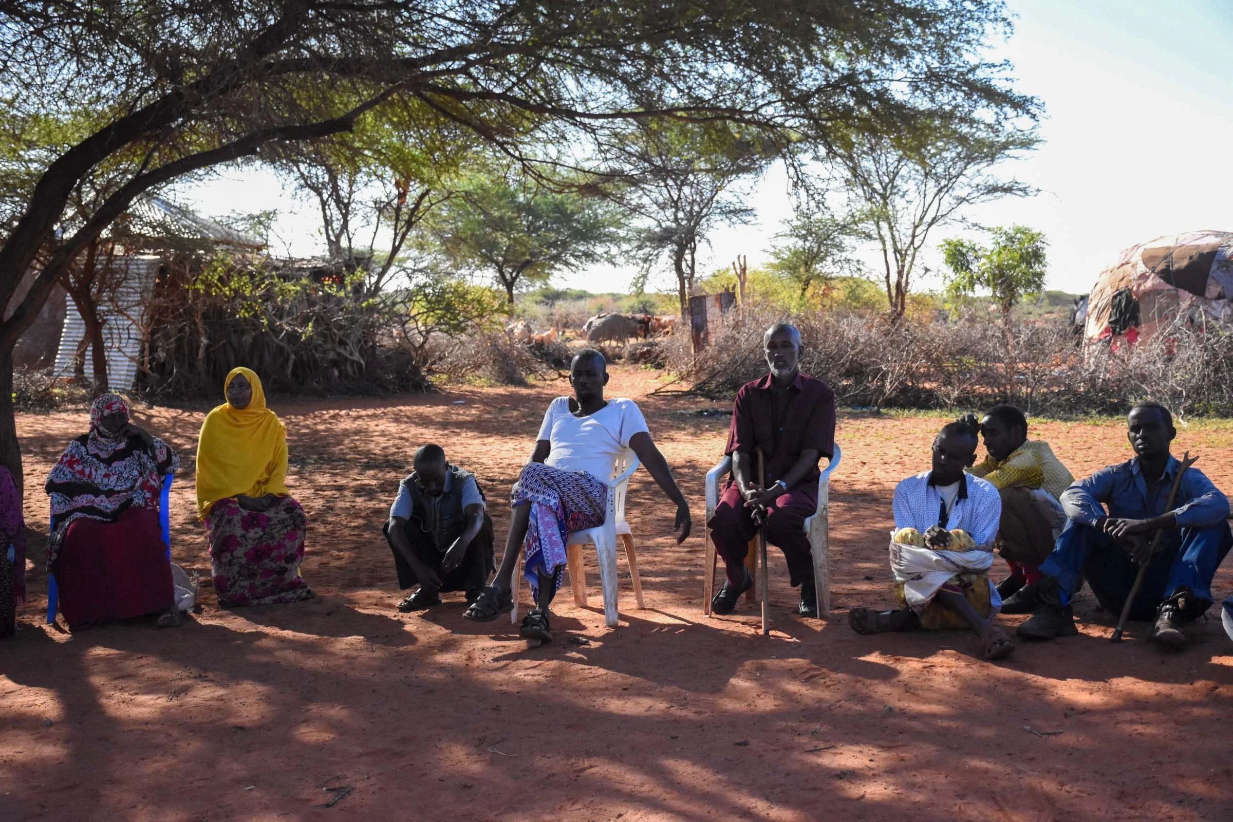 Men and women sit in a line under shadows from a tree
