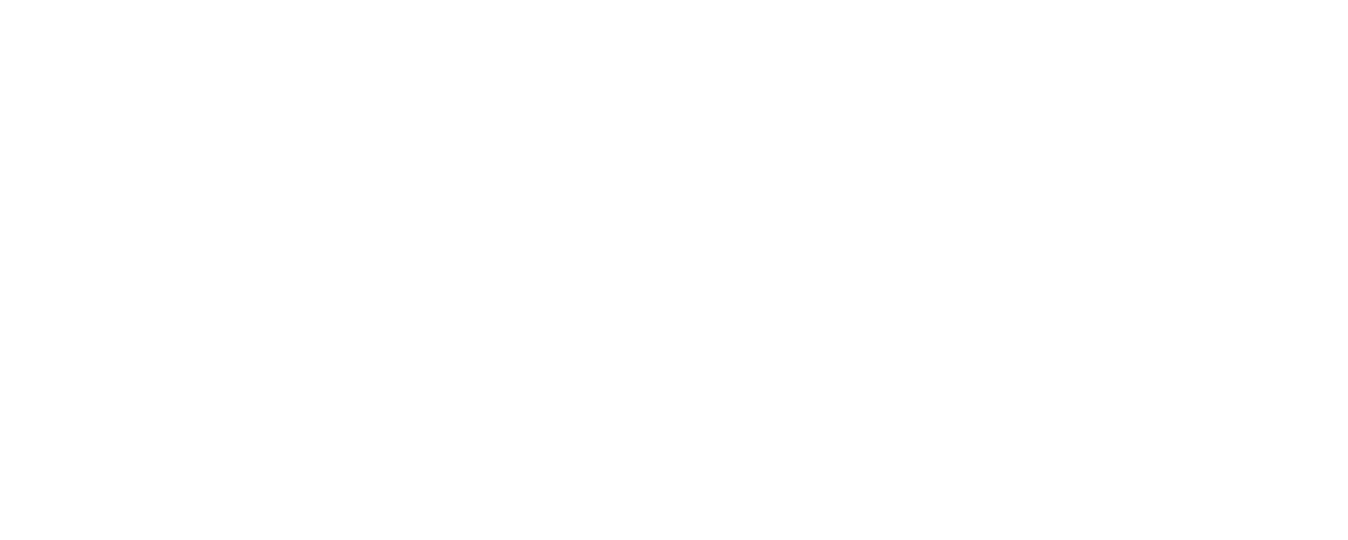 Momentum