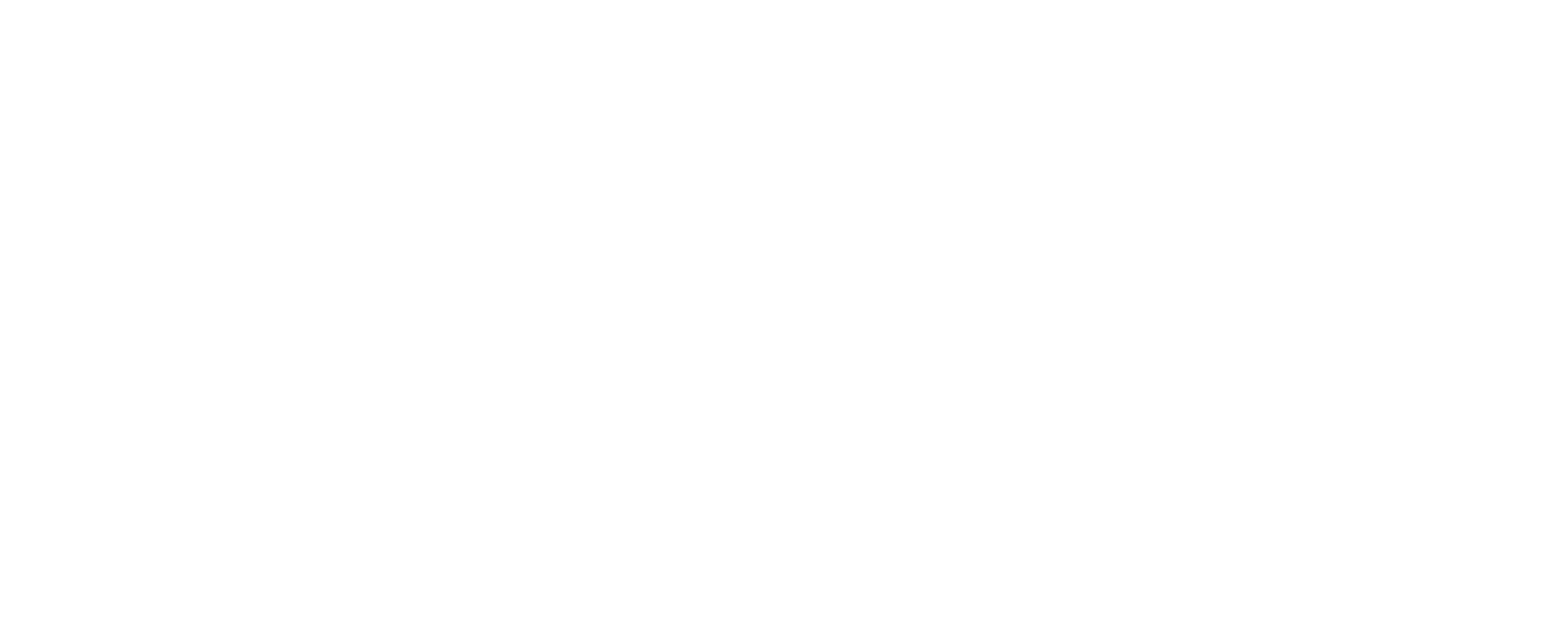 Momentum-logo-WHITE.png