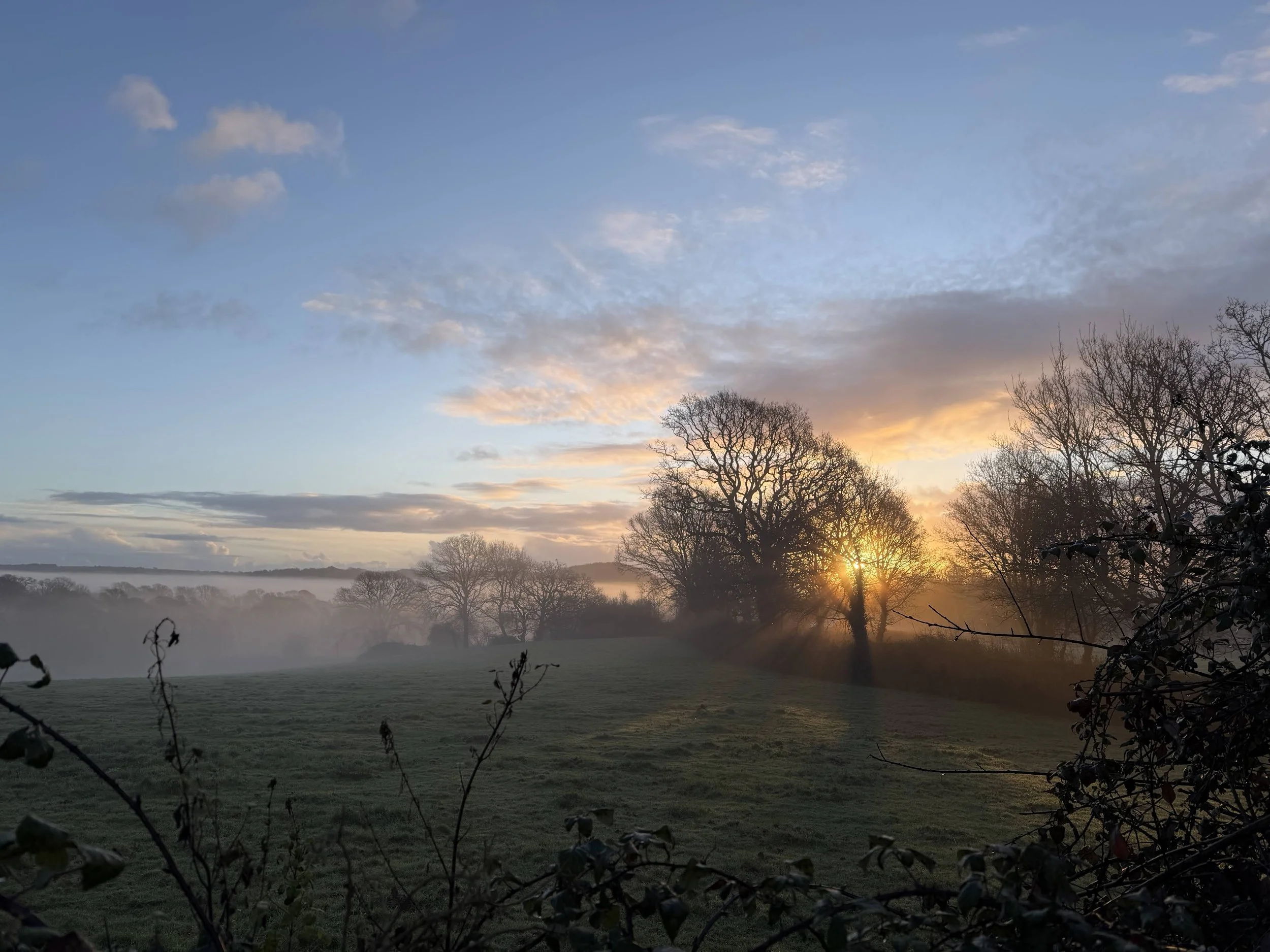 Change Happens in the Messy Middle