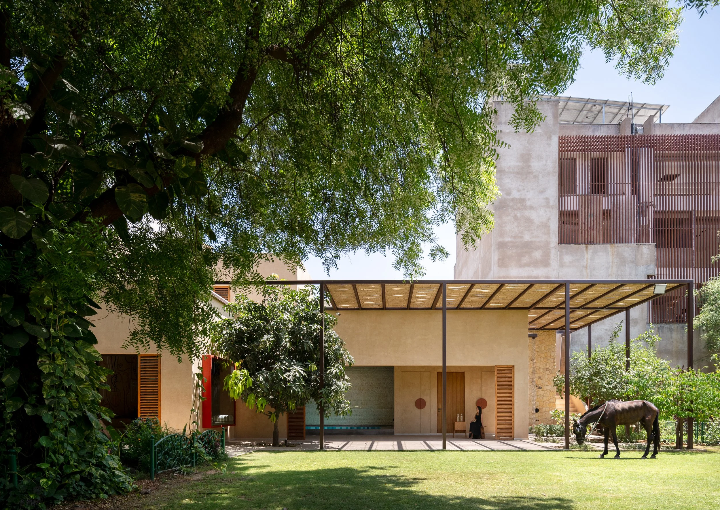 Terra Casa in Gwalior: exterior facing the lawn and bamboo pergola