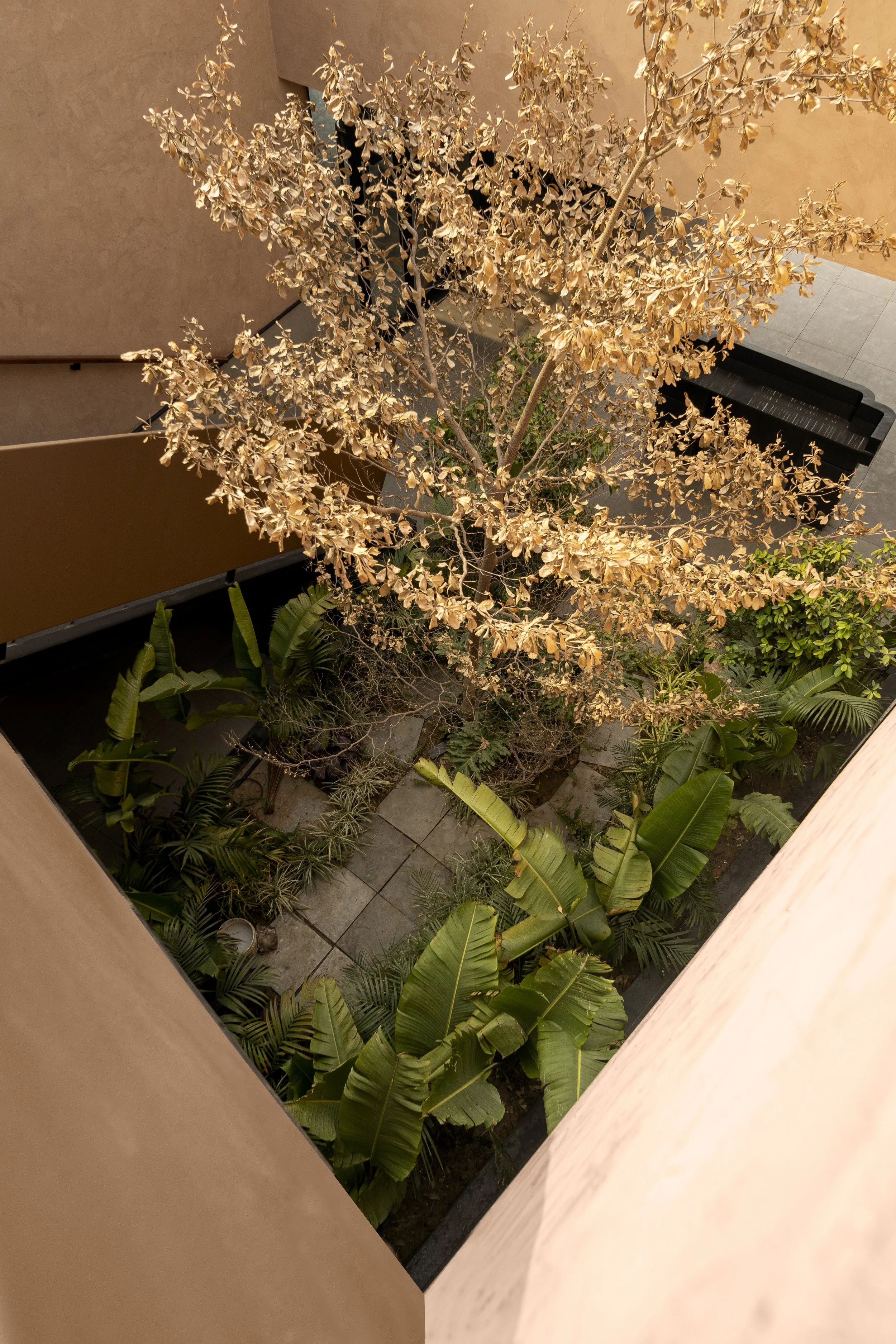 03_STAIRCASE COURTYARD LOOKING FROM THE TERRACE.jpg